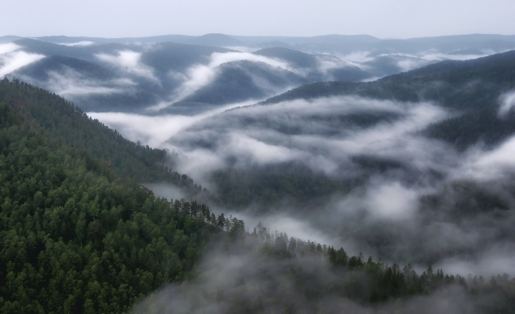 сибирь, торгашинский хребет, сопки, туман, тайга, енисейская сибирь, Марина Фомина