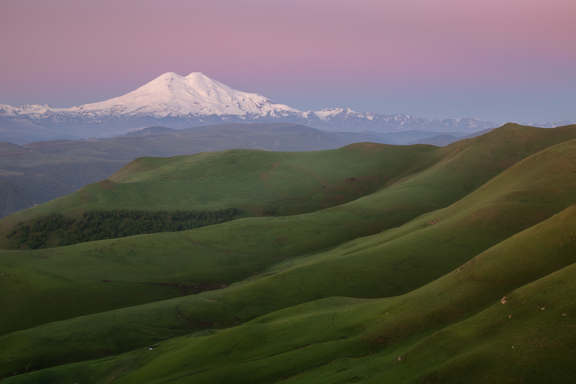 , Константин Маланин