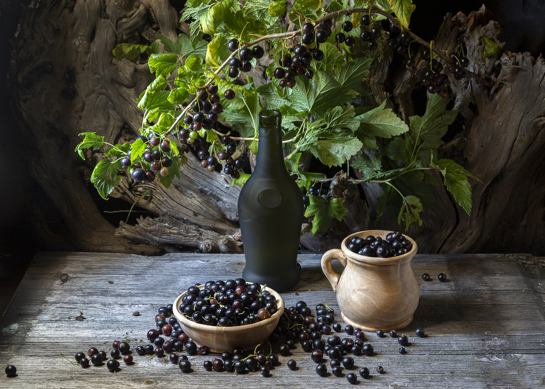 смородина., Анкудинов Леонид