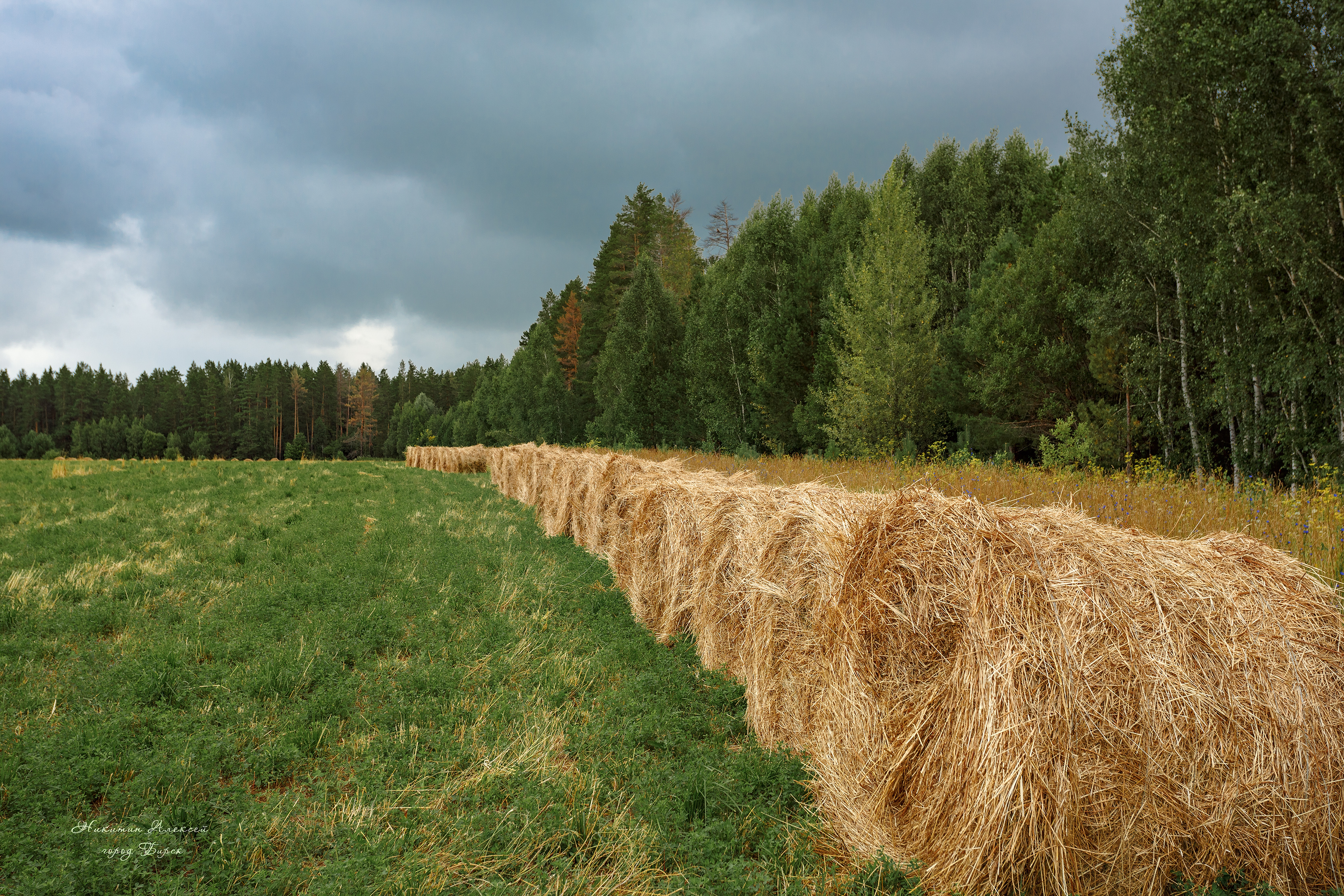 , Никитин Алексей