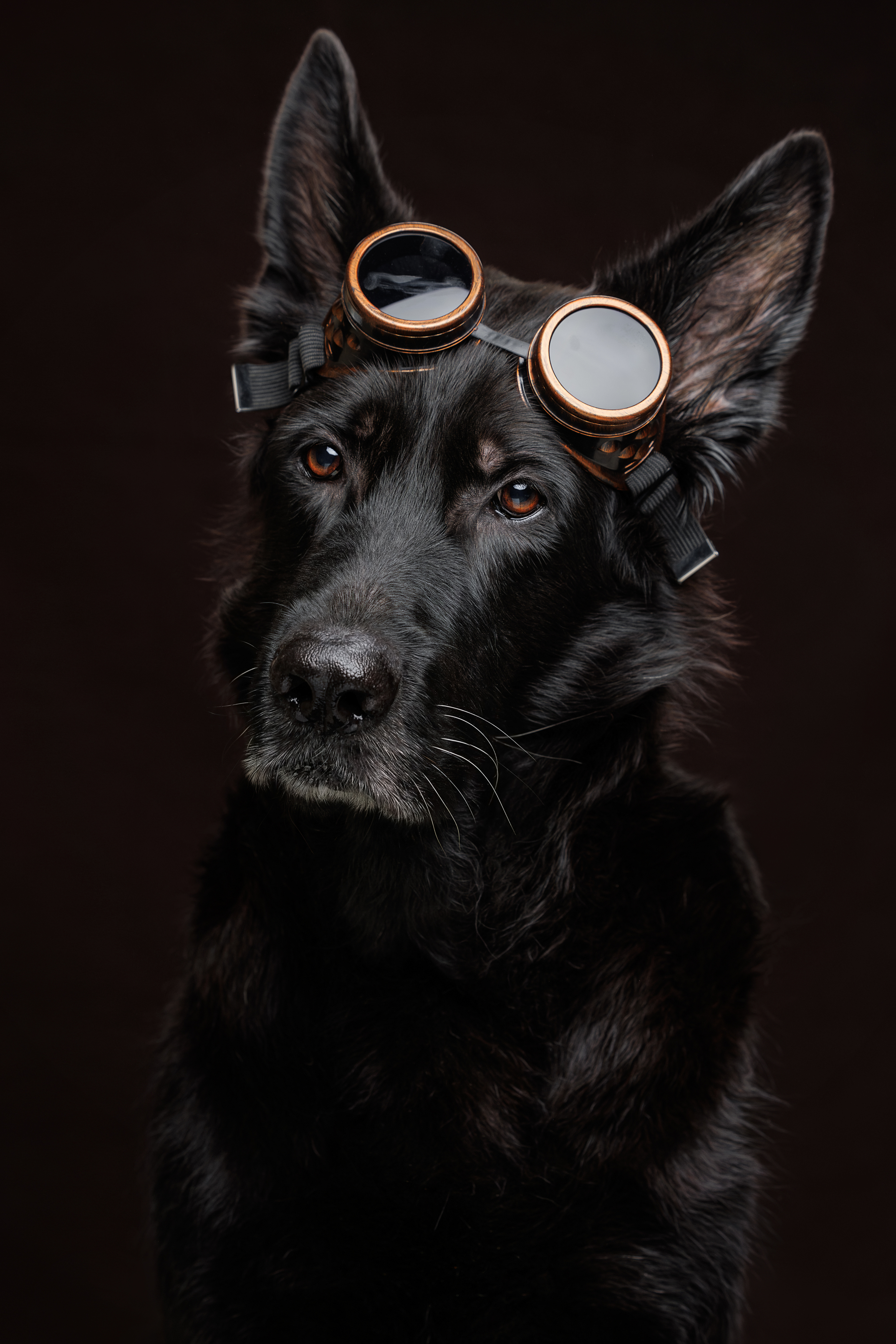 , Яна Нарбутович