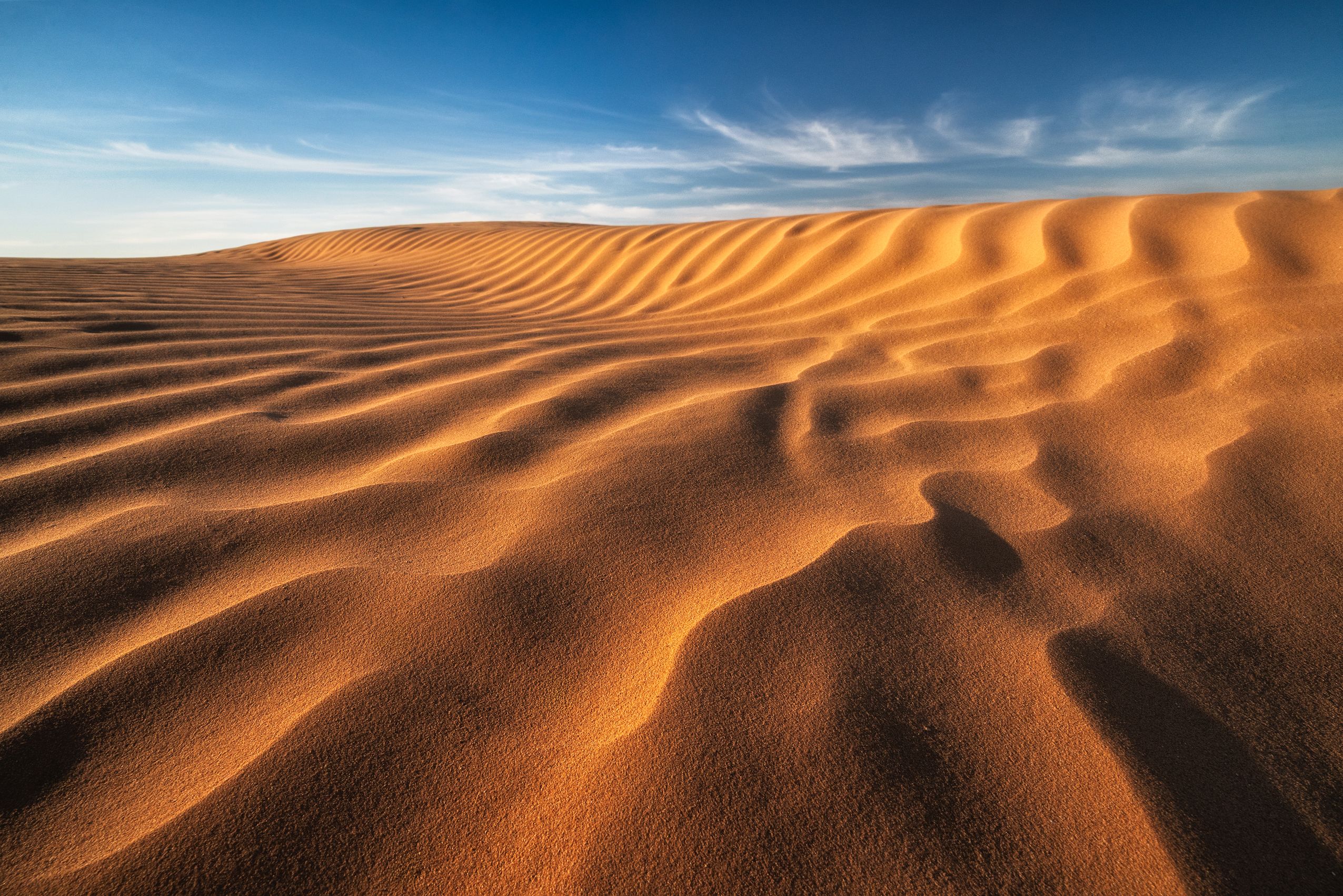 , Михаил Харитонычев