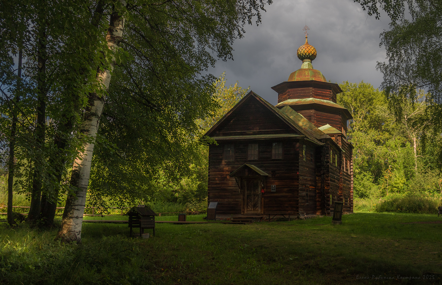 кострома, Елена Рубинская