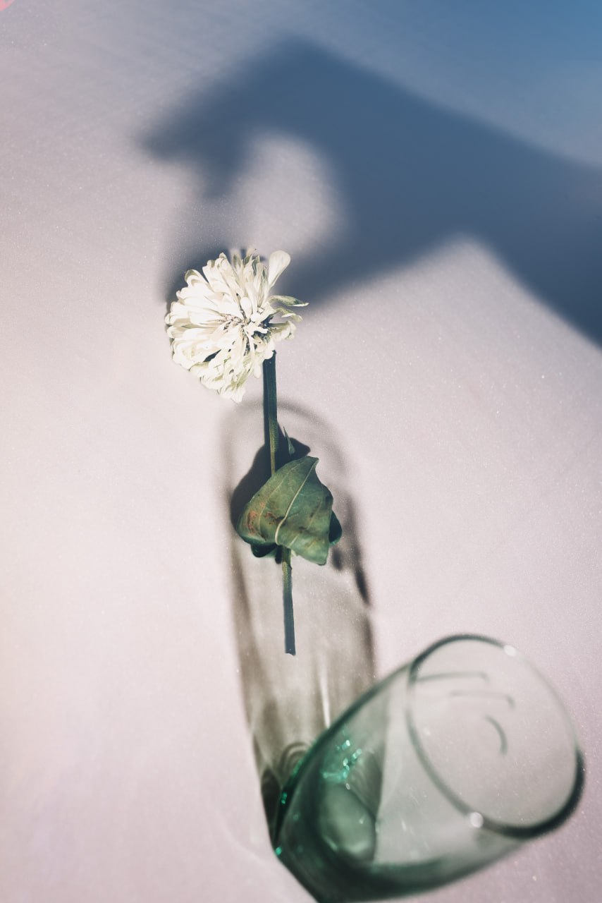 , Рыбаков Илья