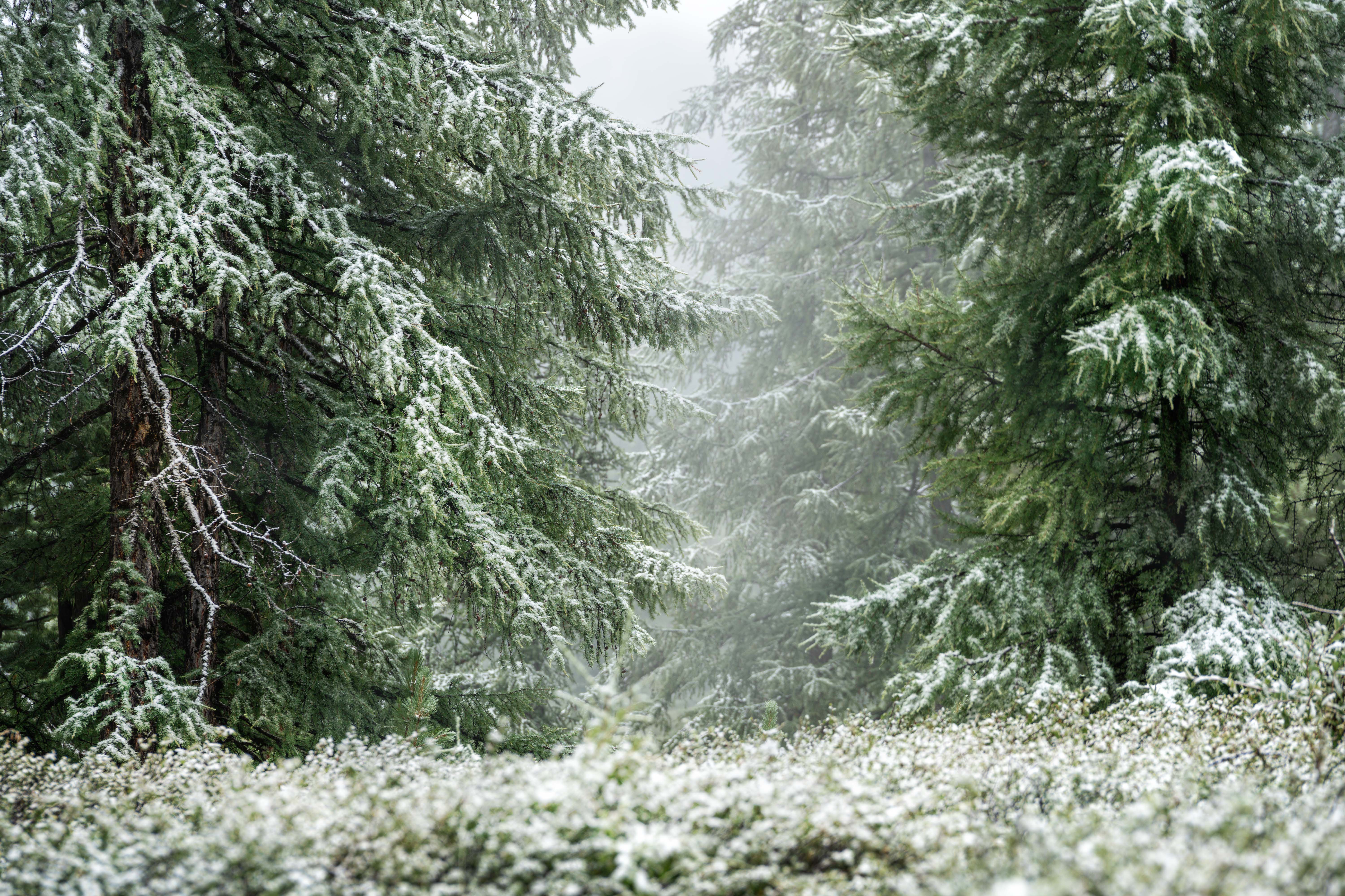 , Евгений Важенин