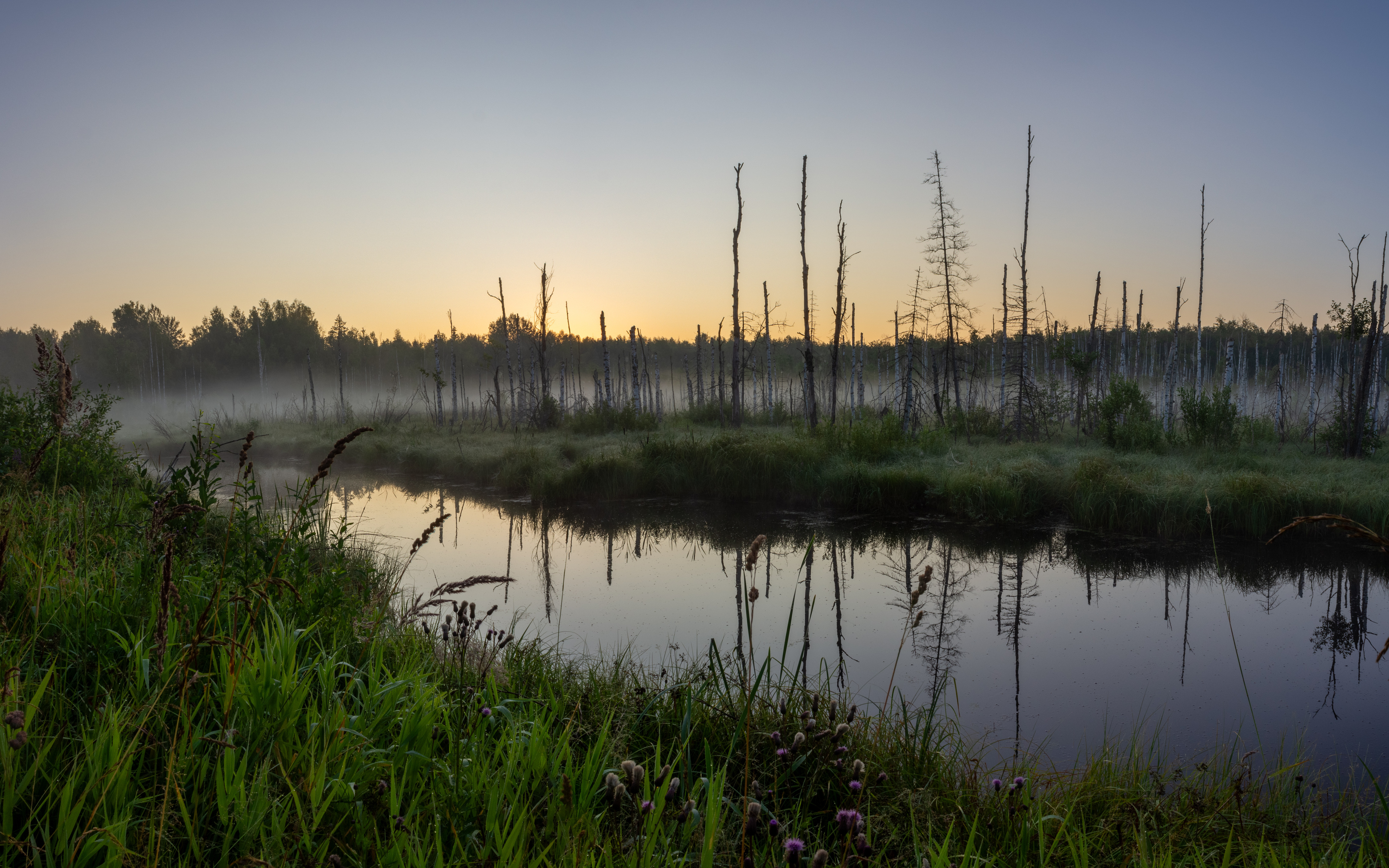 , Комарова Вера