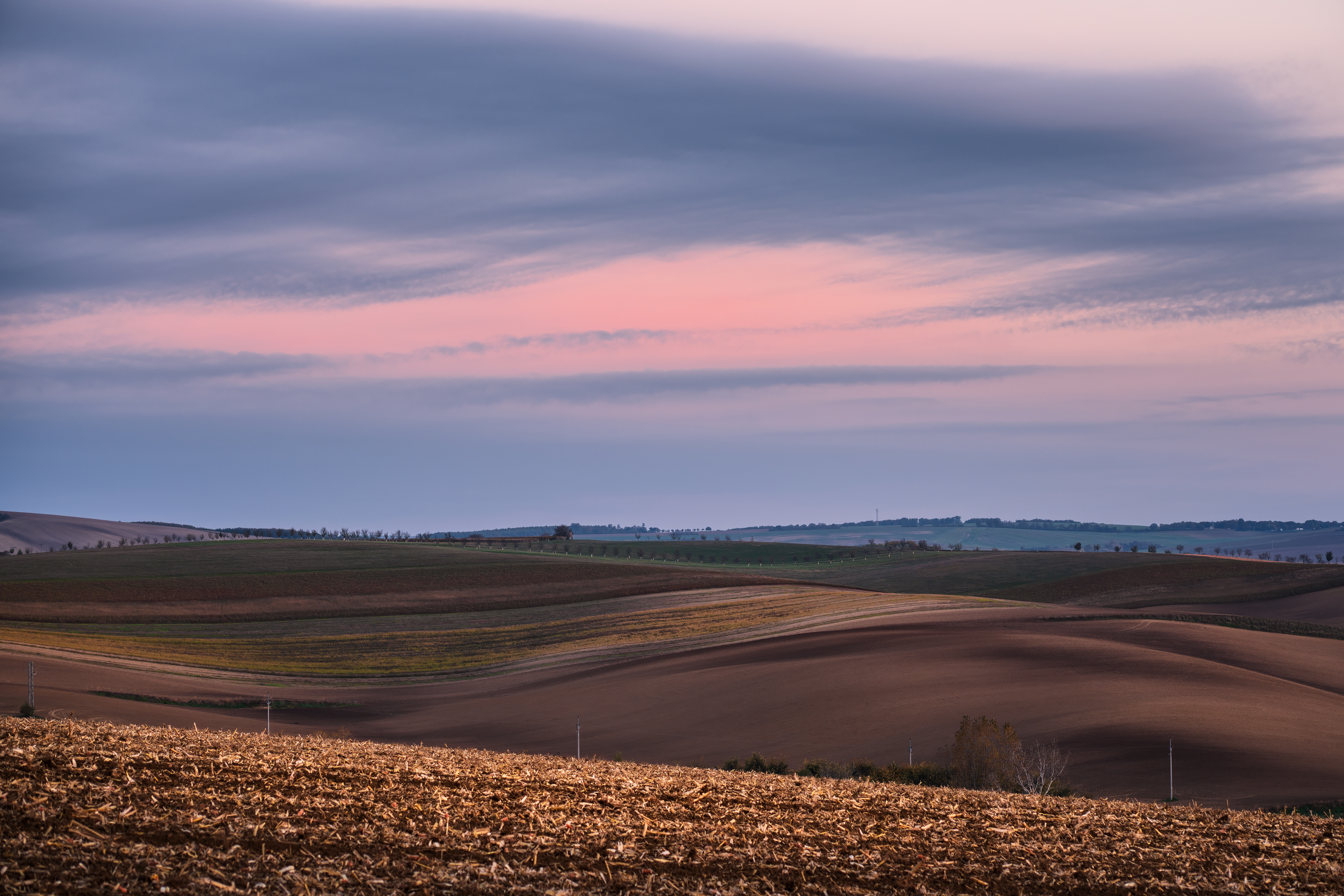 , Георгий Бычковский