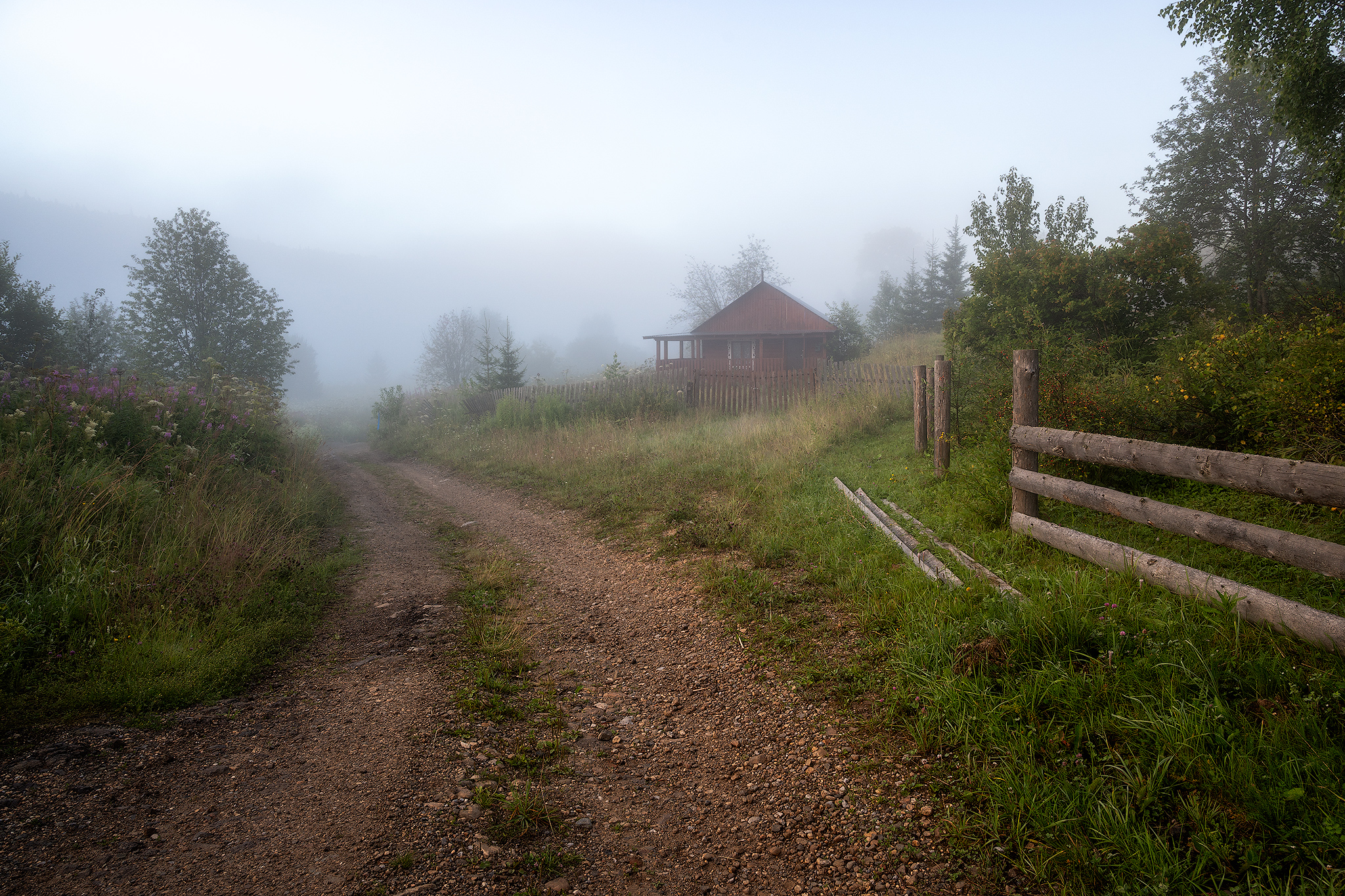 пермский край, пейзаж, рассвет, красота природы, поле, лето, река, природа, дикая природа, койва, лес, усть-койва, Кузнецов Кирилл