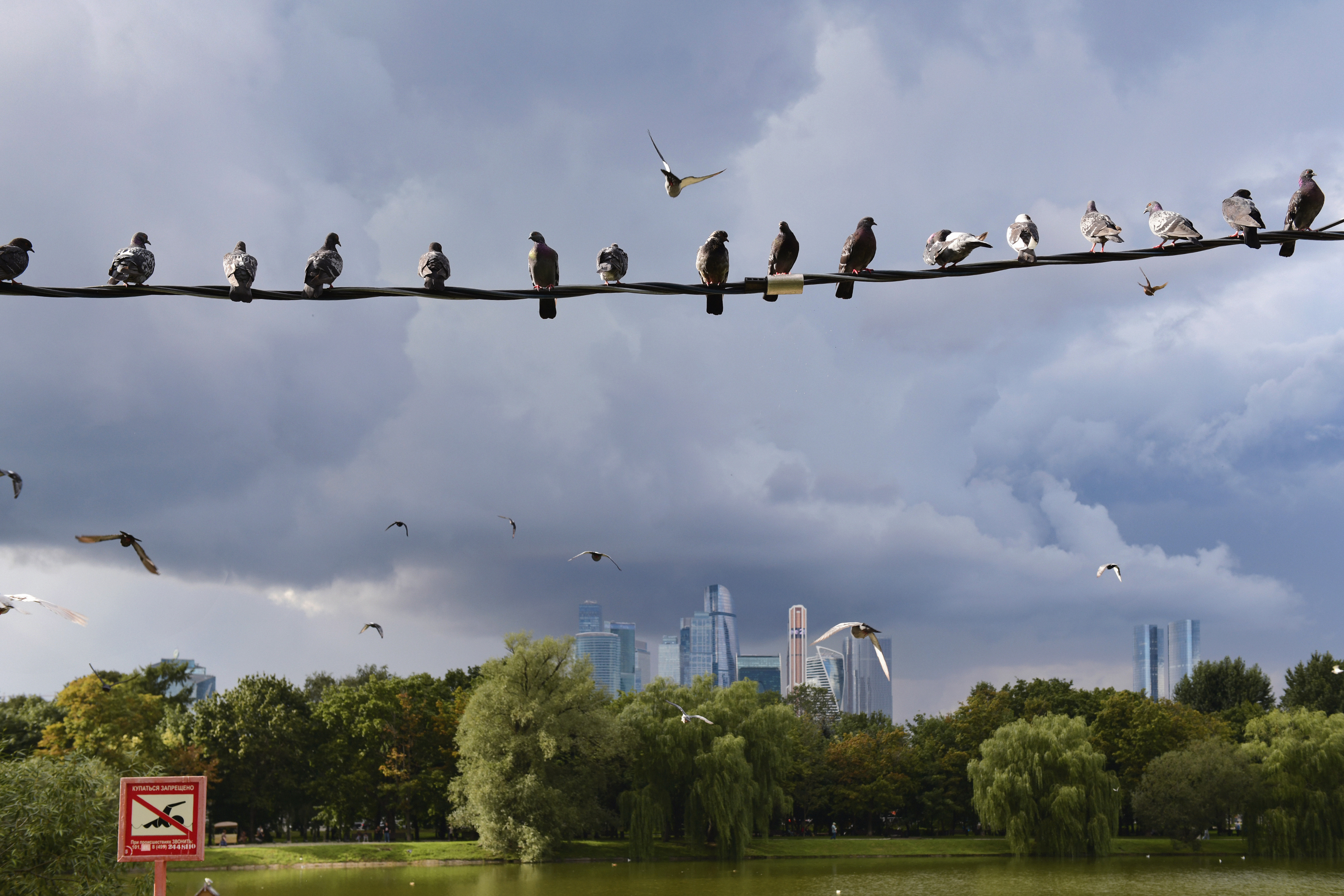 , Божена Пучко