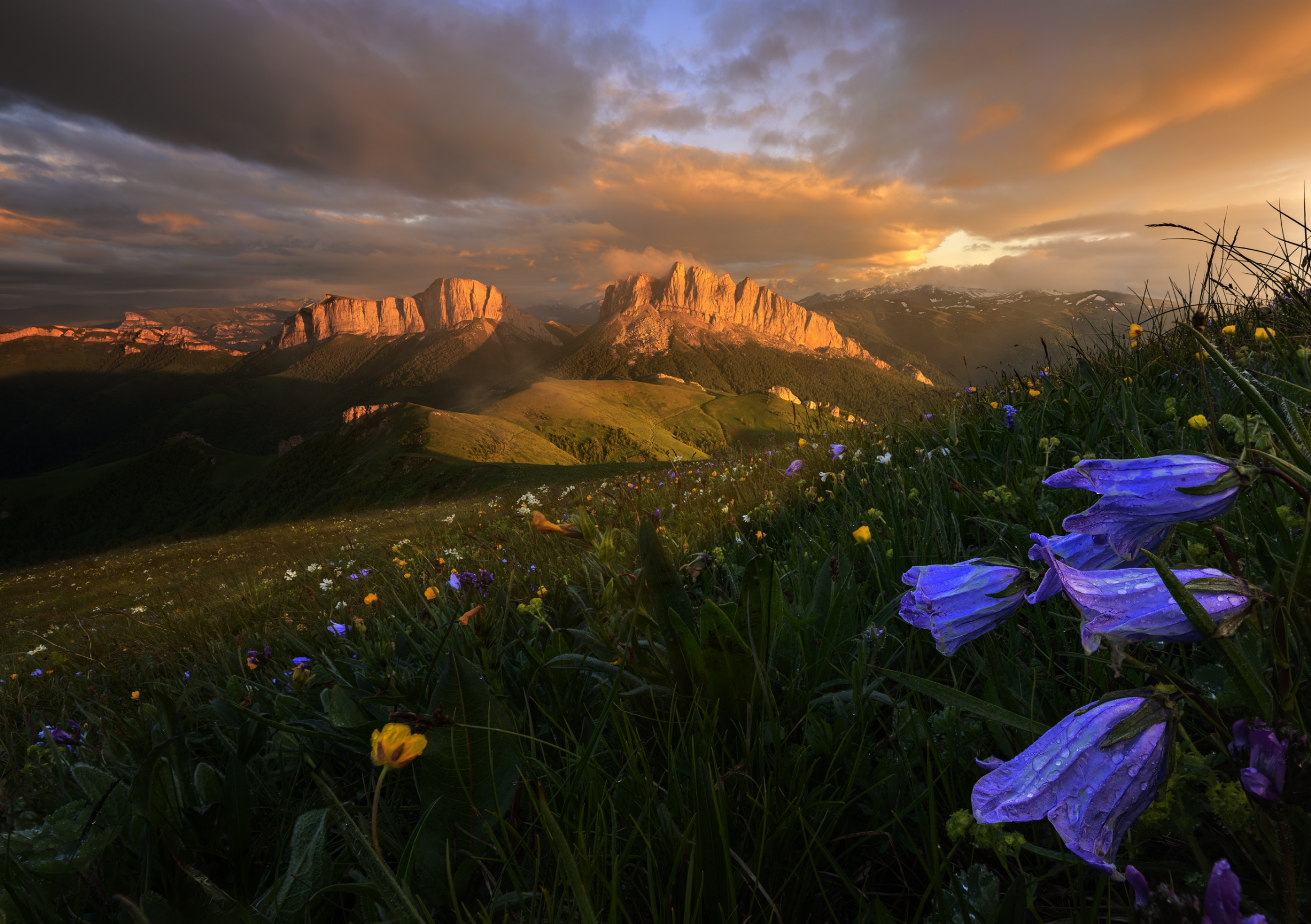 , Ширгин Сергей