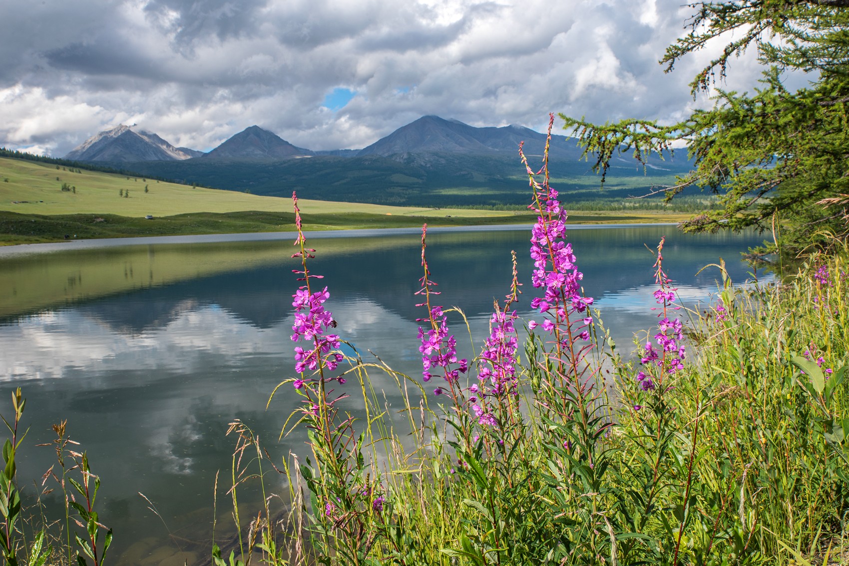 монголия, горы, лето, облака, озеро, горы, отражения, иван, чай, кипрей, Юрий Мальцев