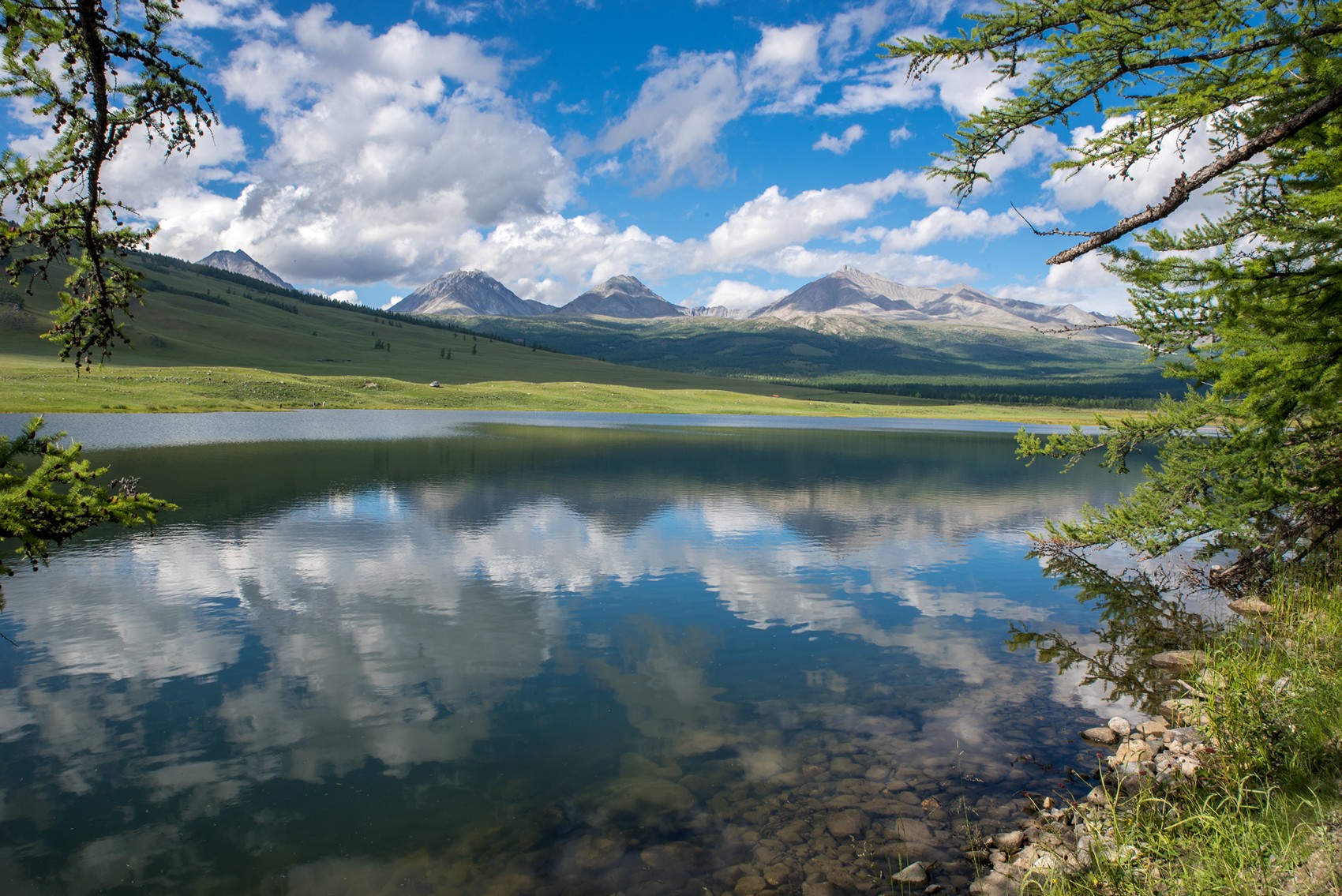 , Юрий Мальцев