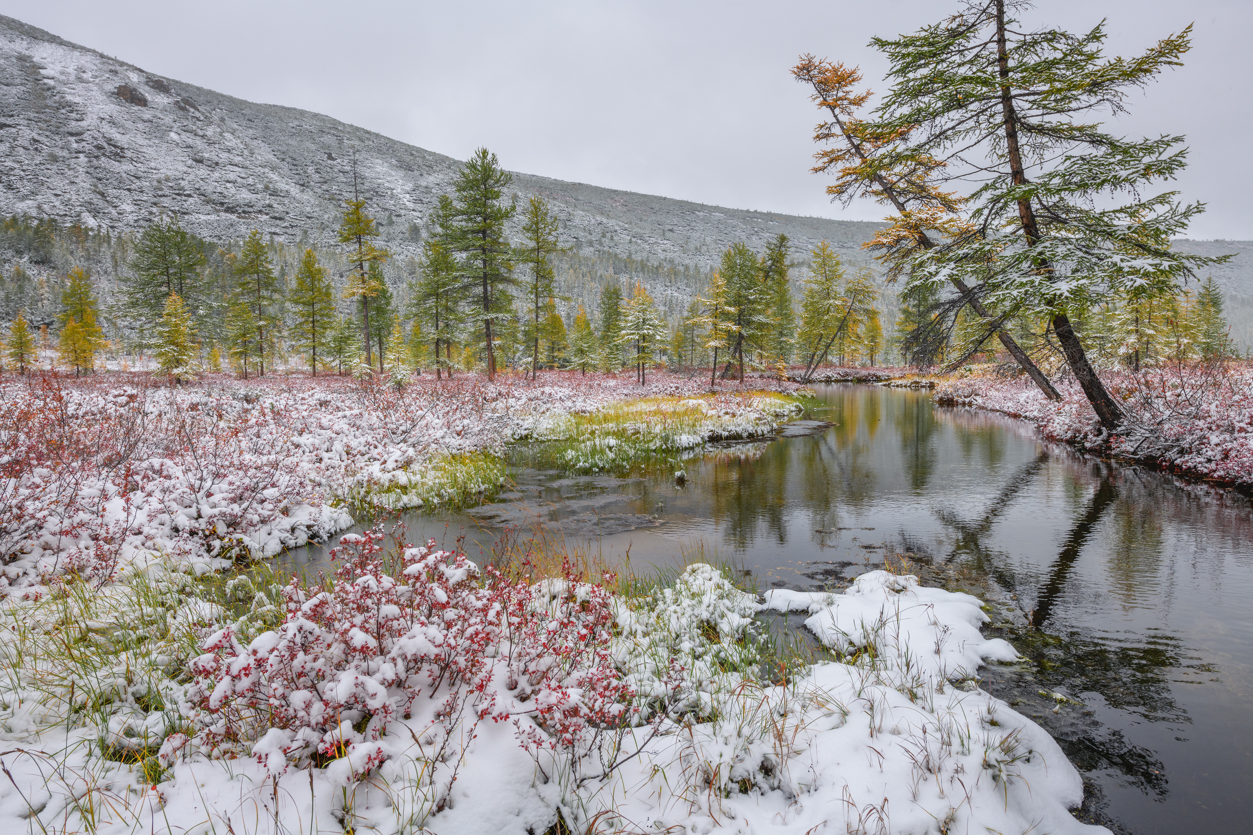 Озеро Джека Лондона, Евдокимов Максим