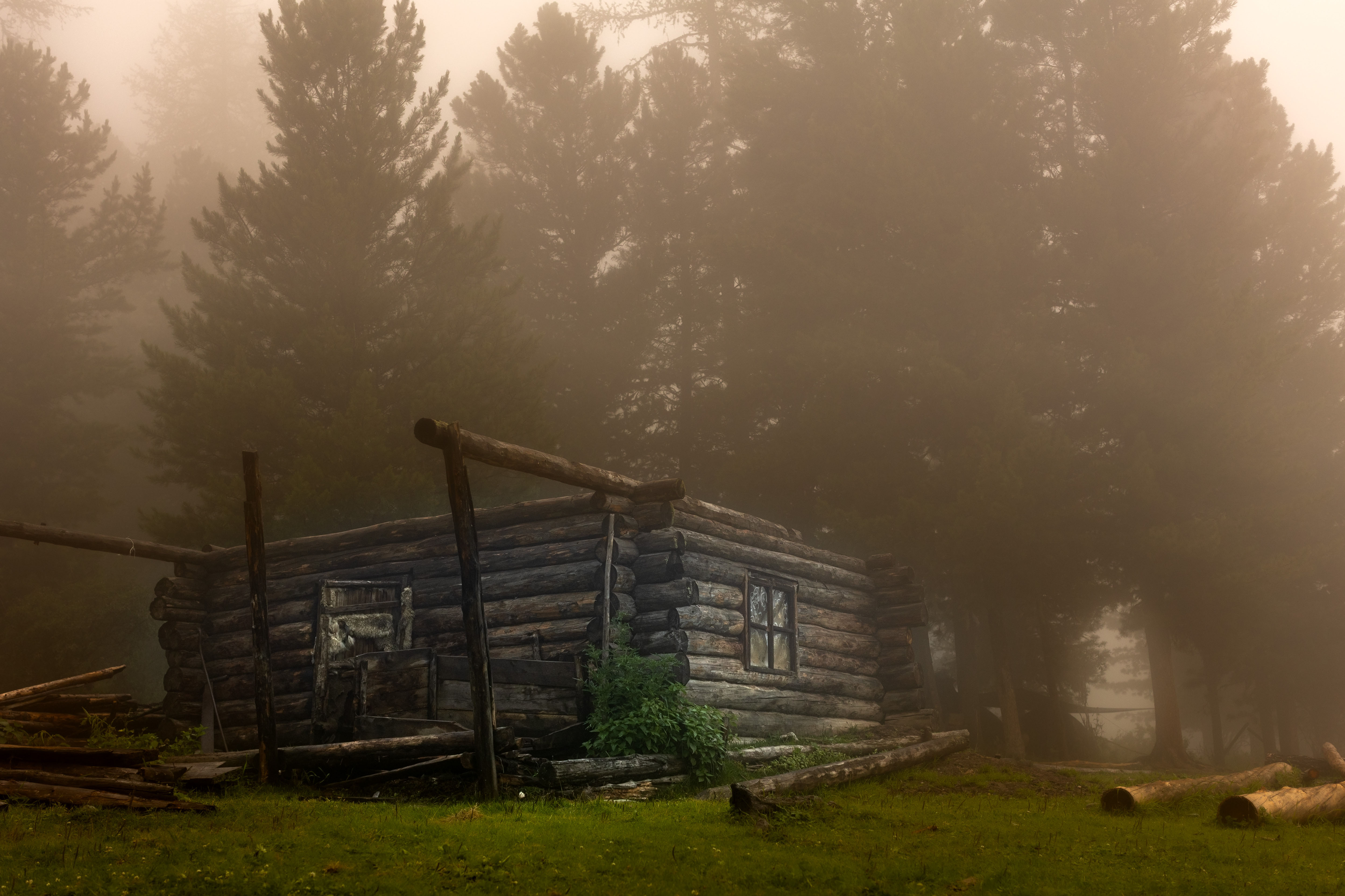 , Сильва Татьяна