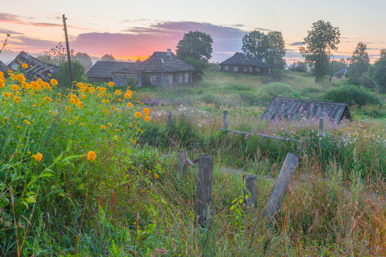 , Петр Косых