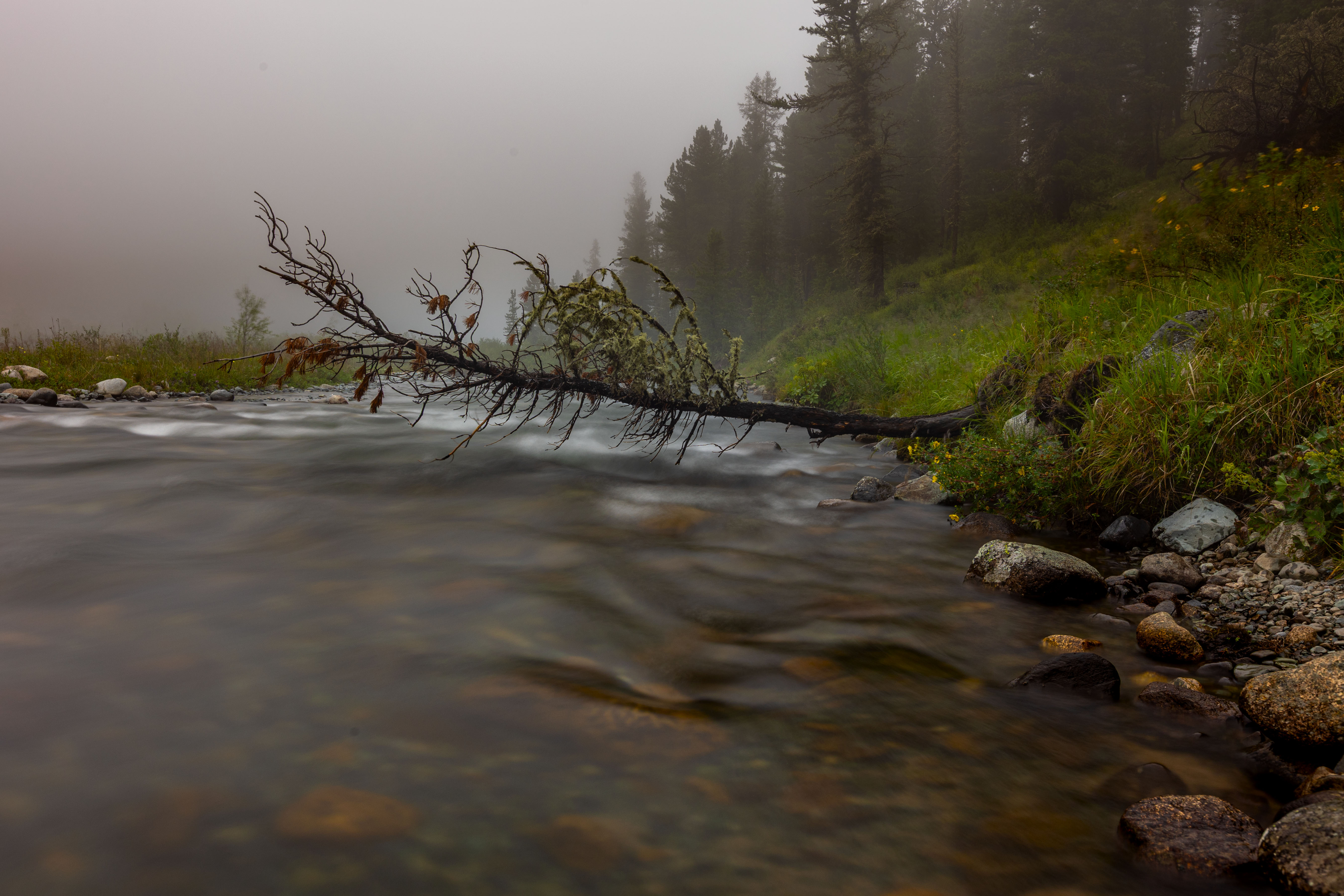 , Сильва Татьяна