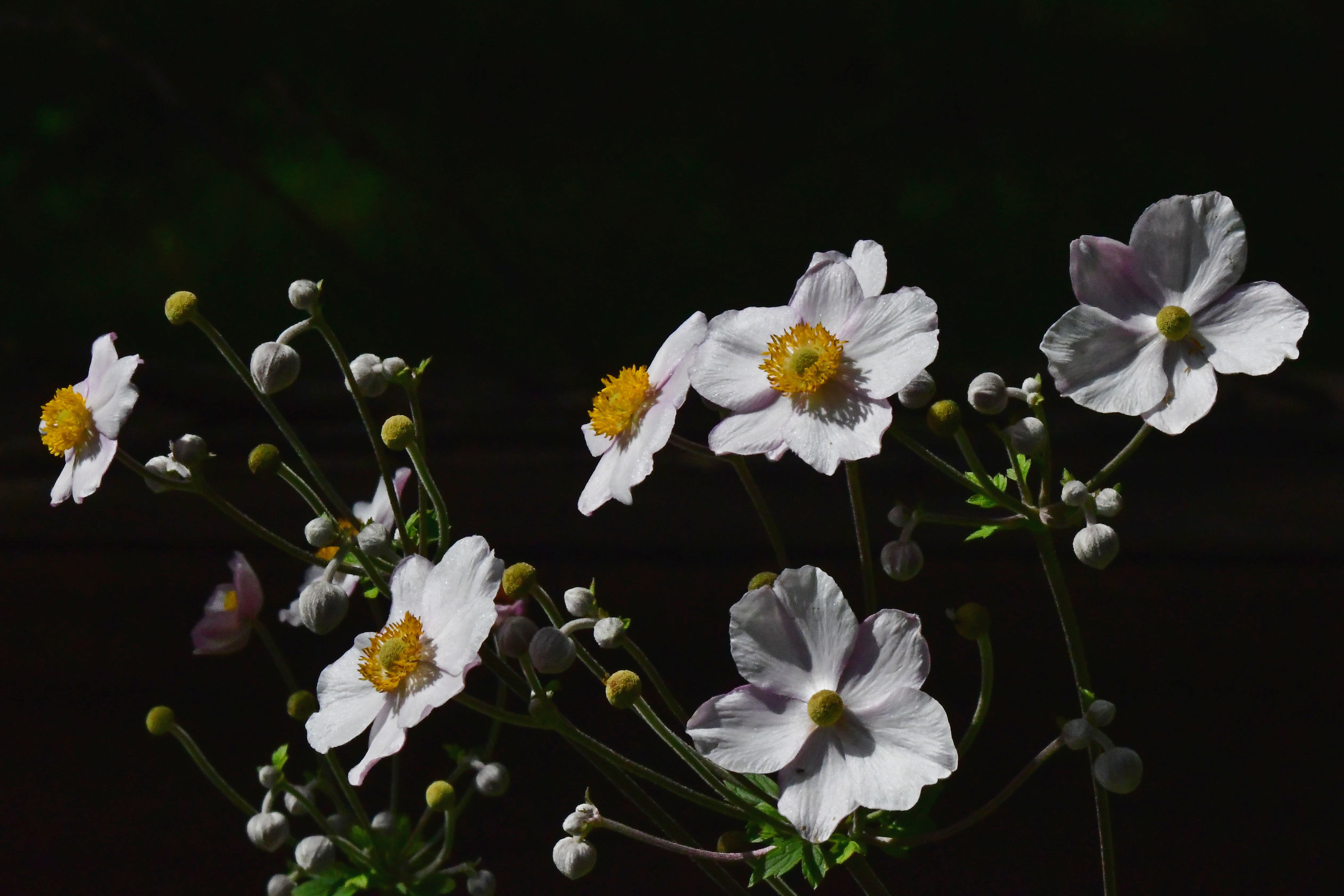 , Корнейчук Игорь