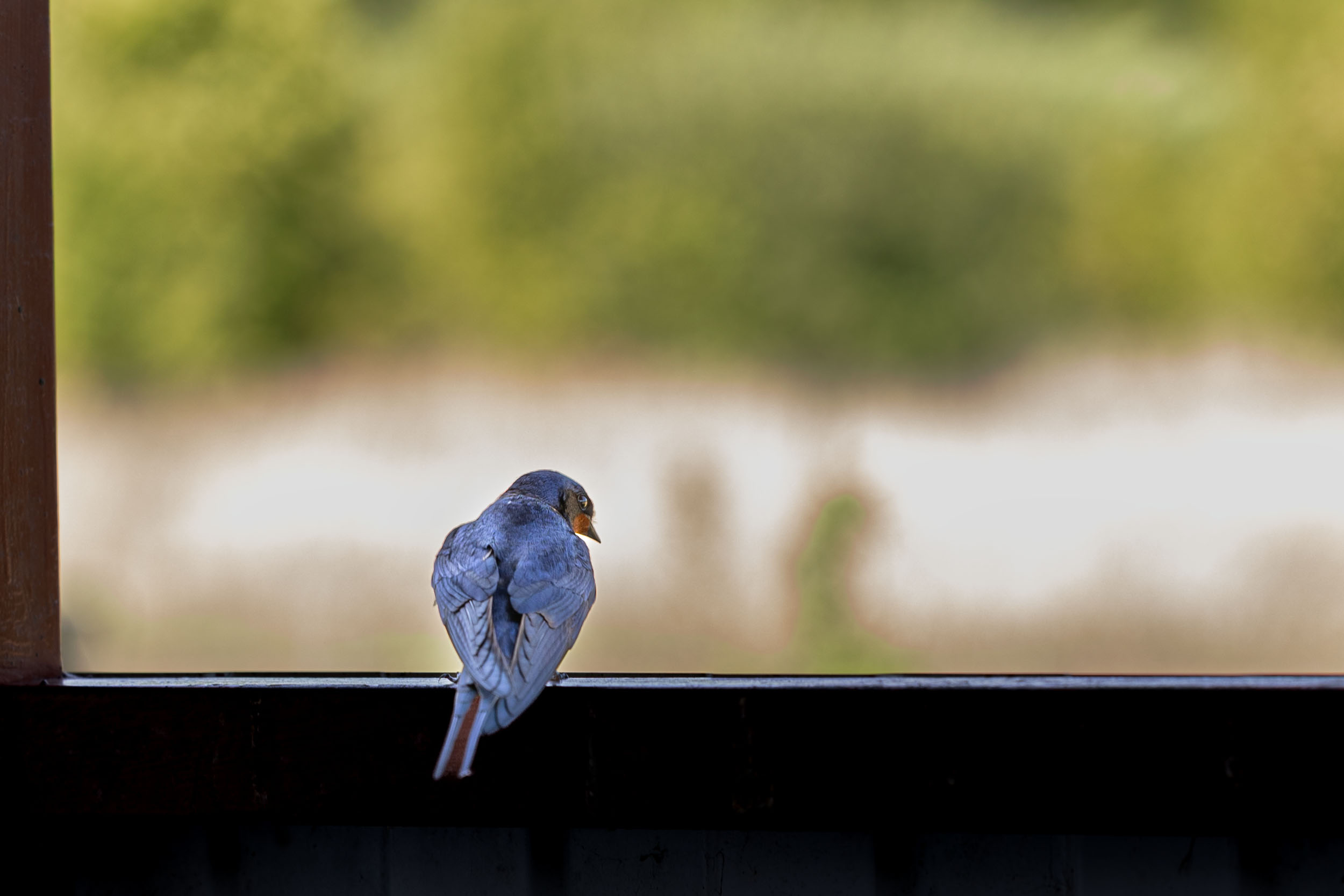 , Сильва Татьяна