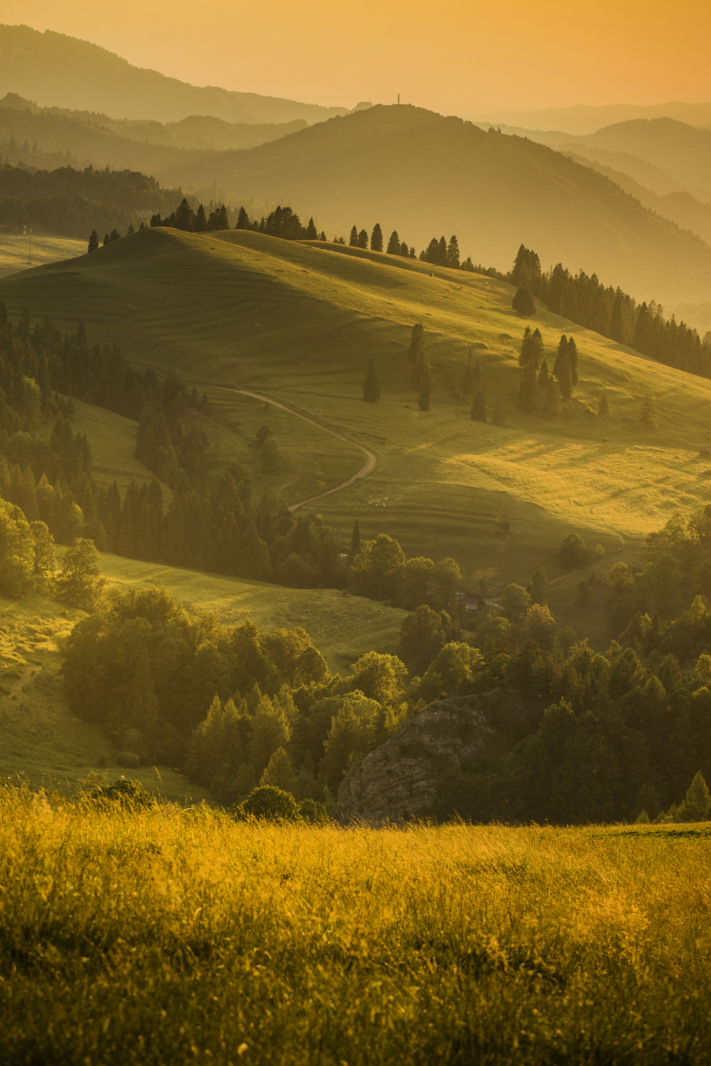 Landscape, Nature, Rural,  Moutains, Pieniny, Hills, Agricultural, Field, Tree, Forest, Damian Cyfka