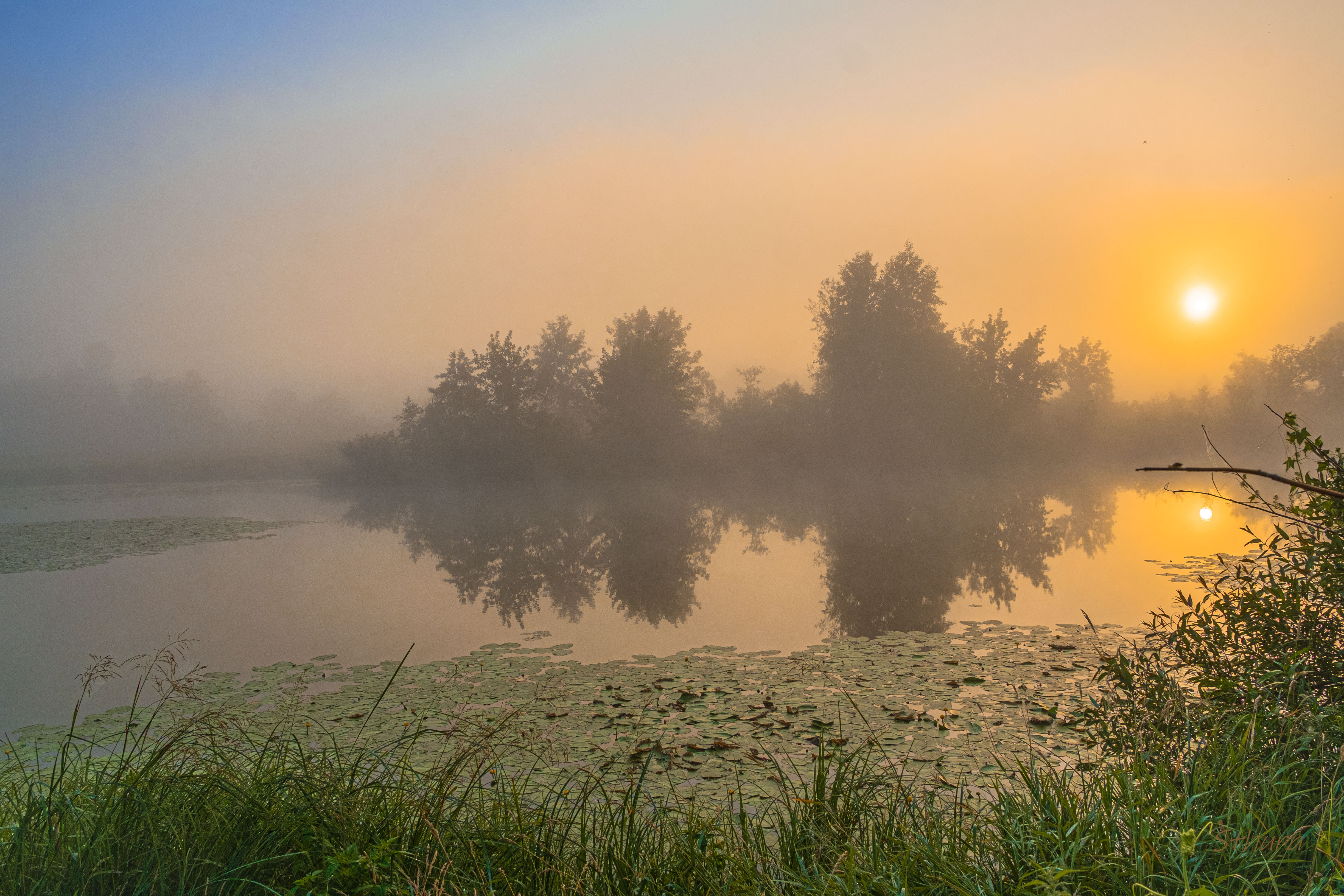 лето озеро рассвет туман природа пейзаж, Александр Строков