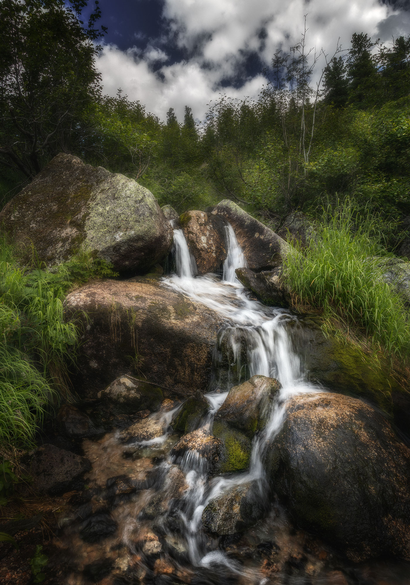 , Владимир Климов