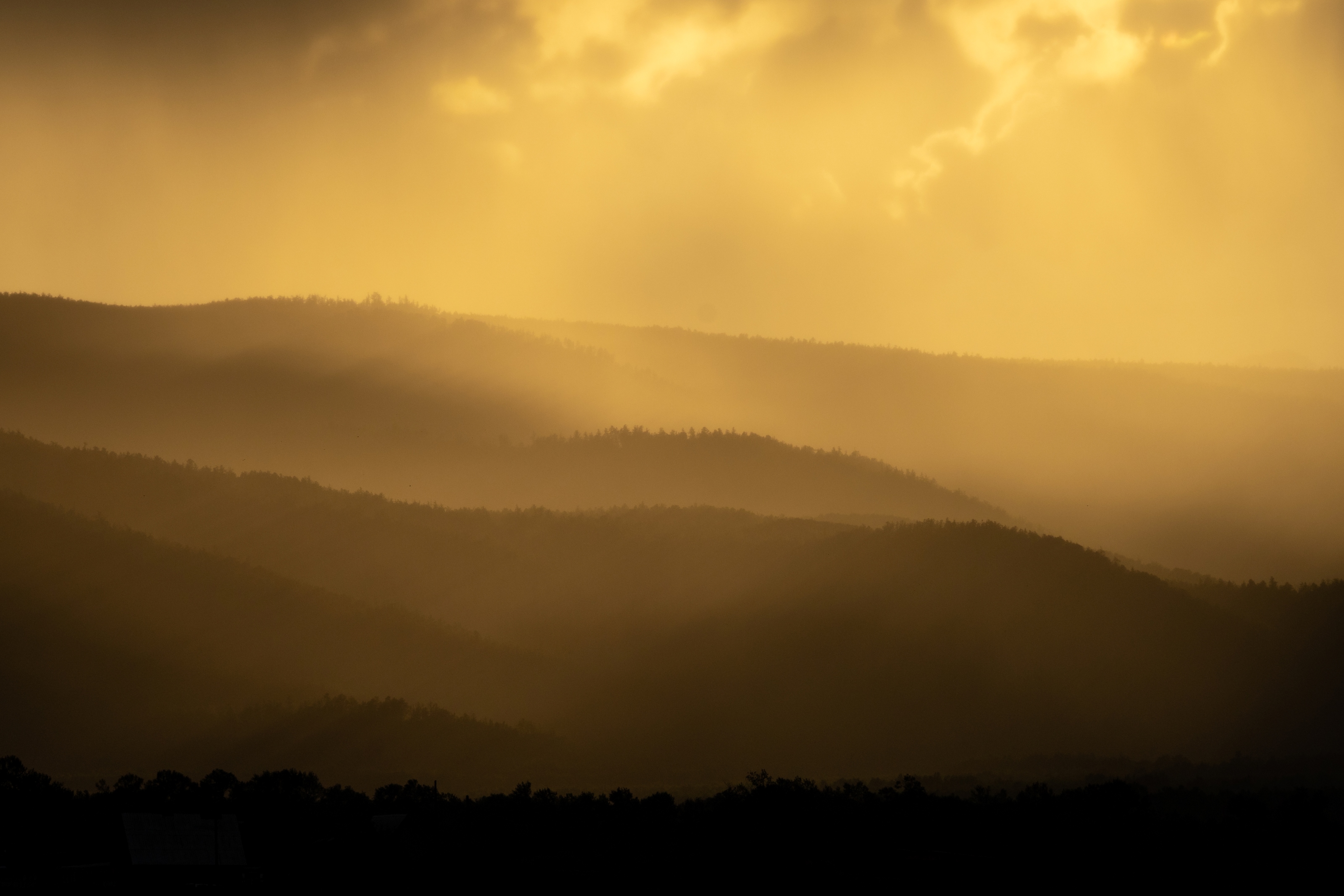 , Большаков Алексей