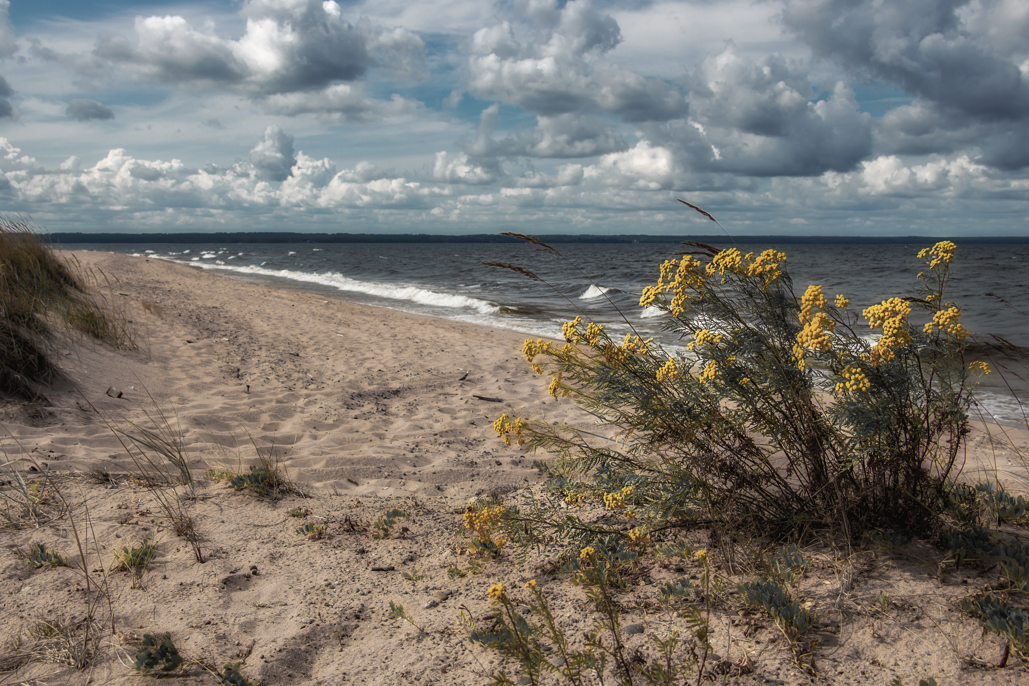 пейзаж, море, лето, ветер, небо, seascape, landscape, sea, Обидина Мария