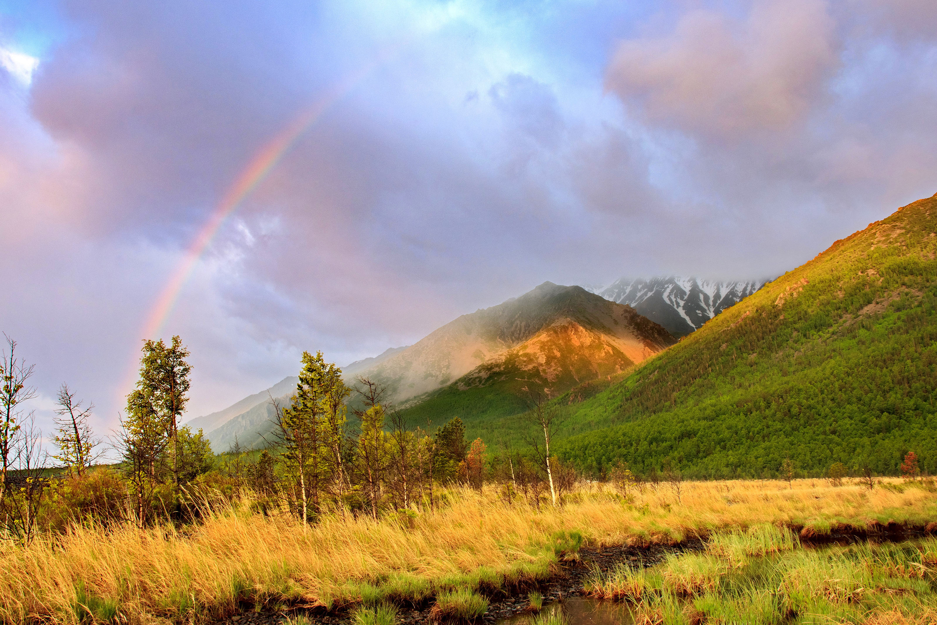 , Добролюбова Тамара