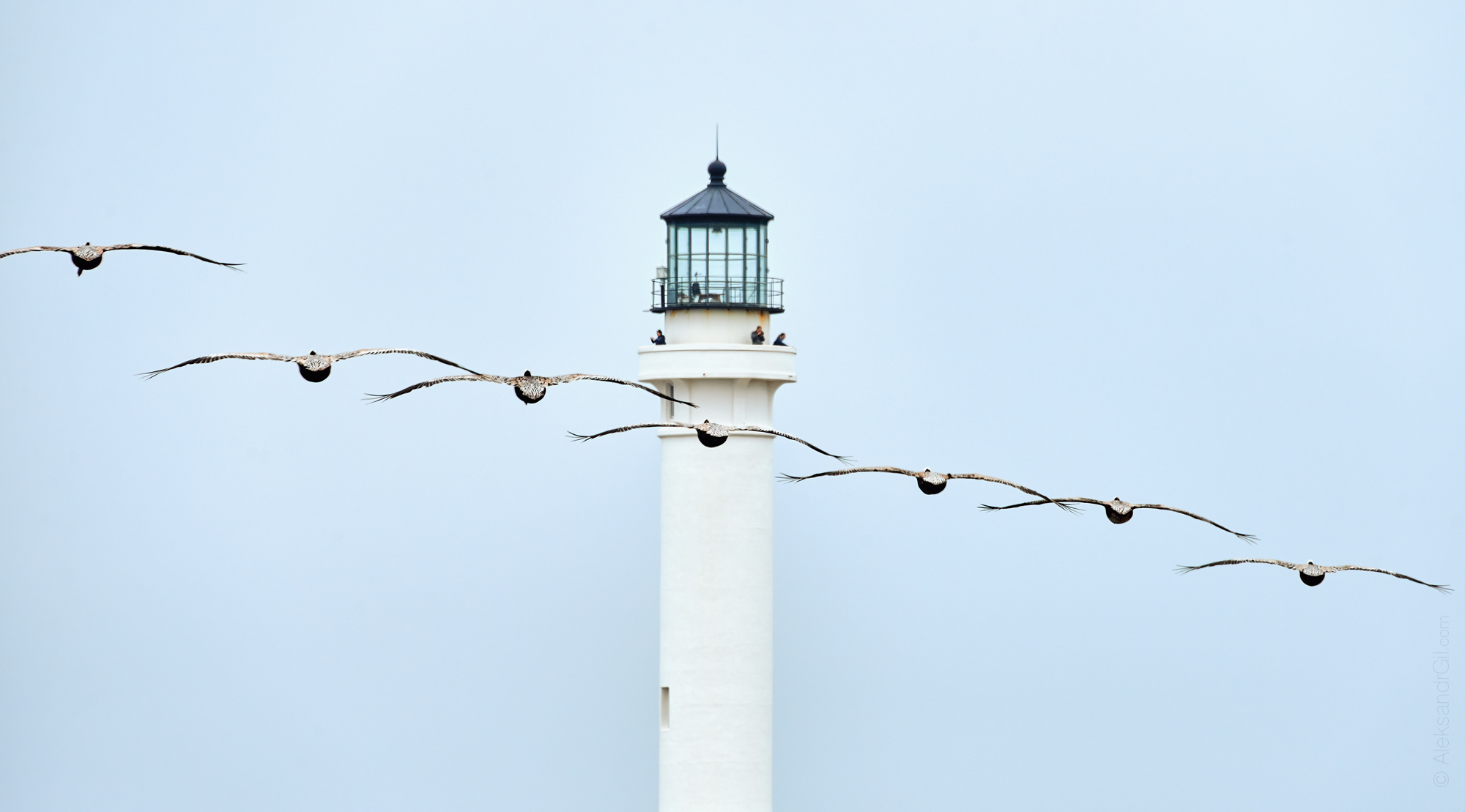 , Гиль Александр