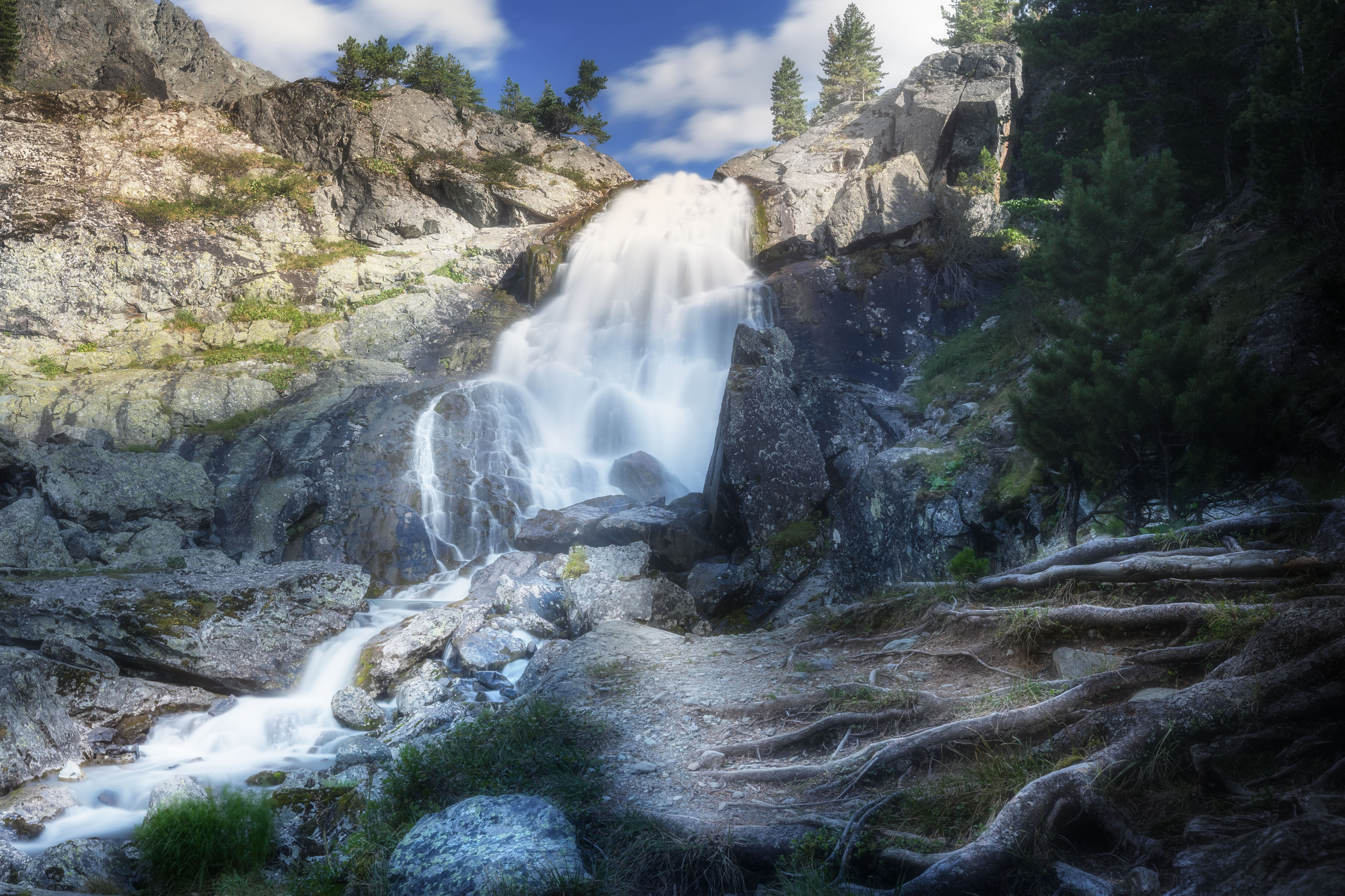 , Сильва Татьяна