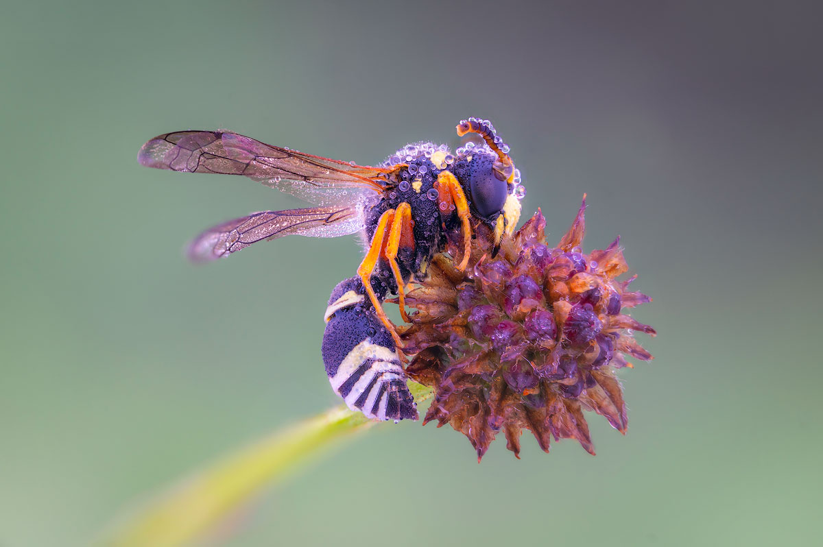 , Сергей Брагин