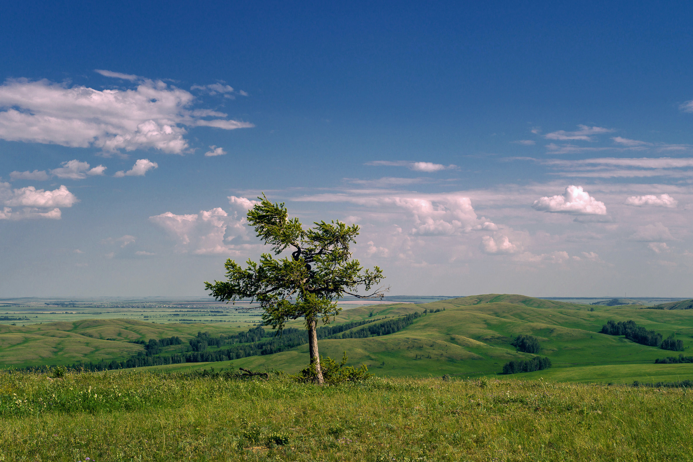 , Шустиков Дмитрий