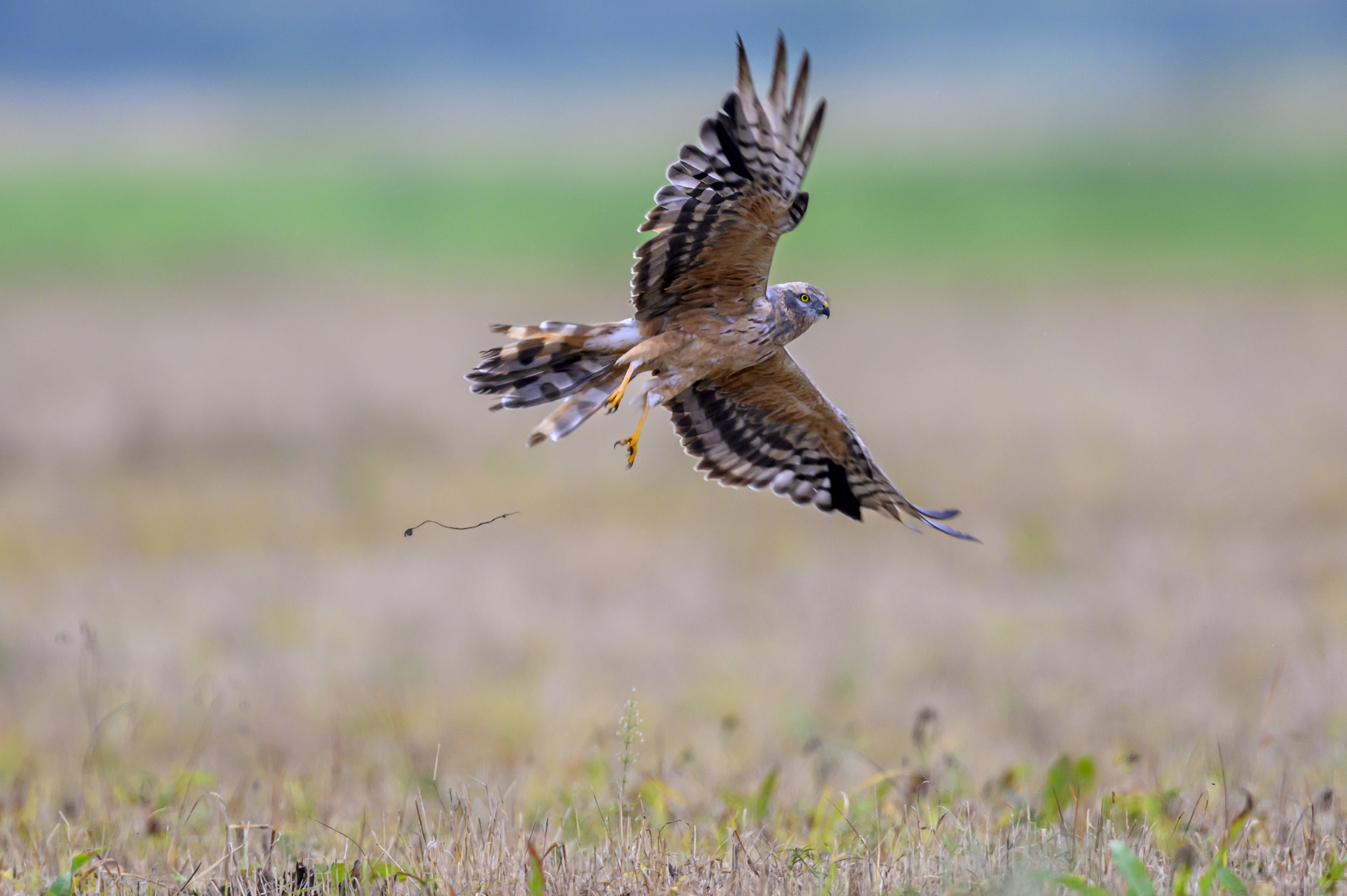 , Пупонин Сергей