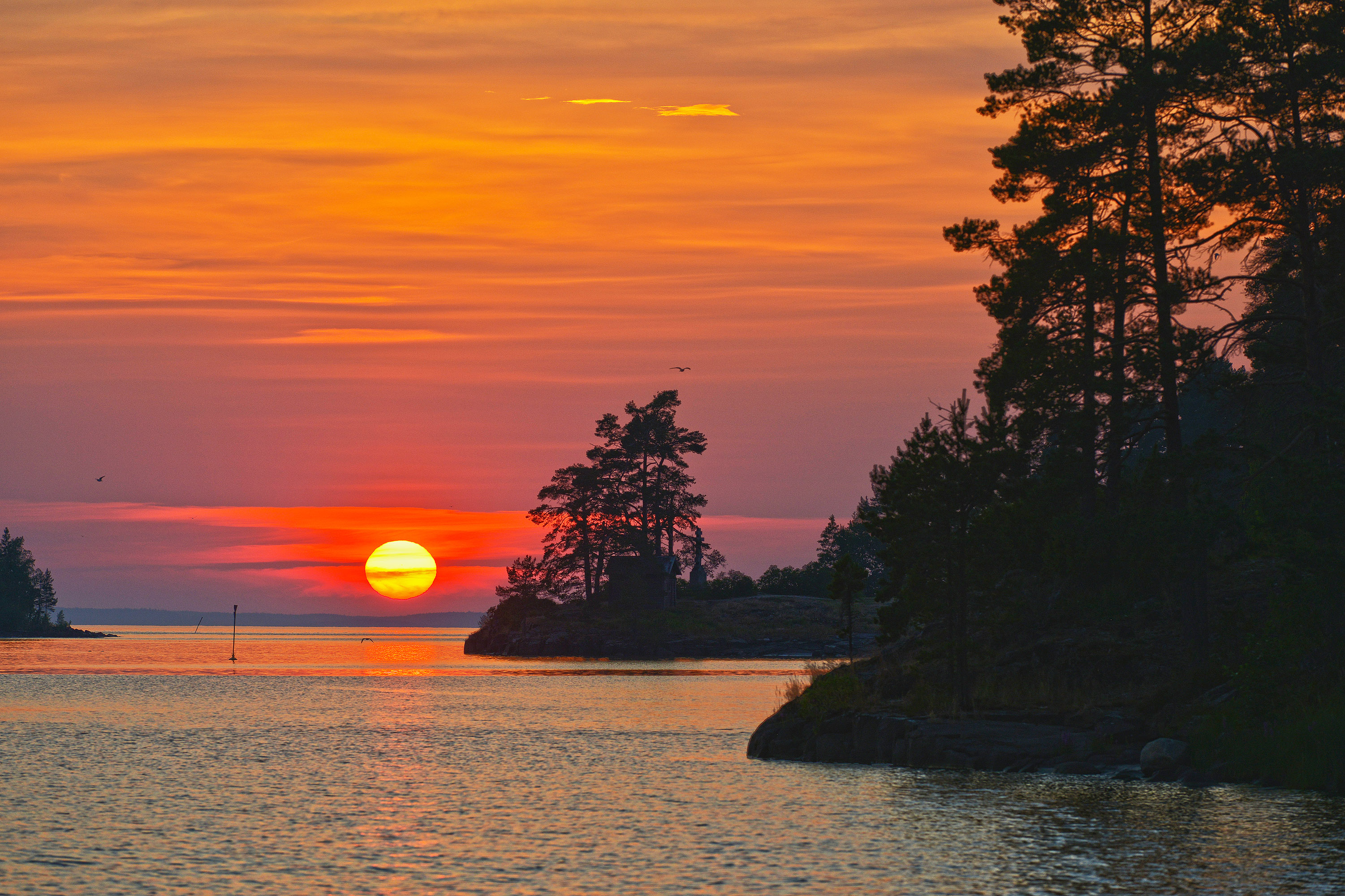 , Сергей Седов