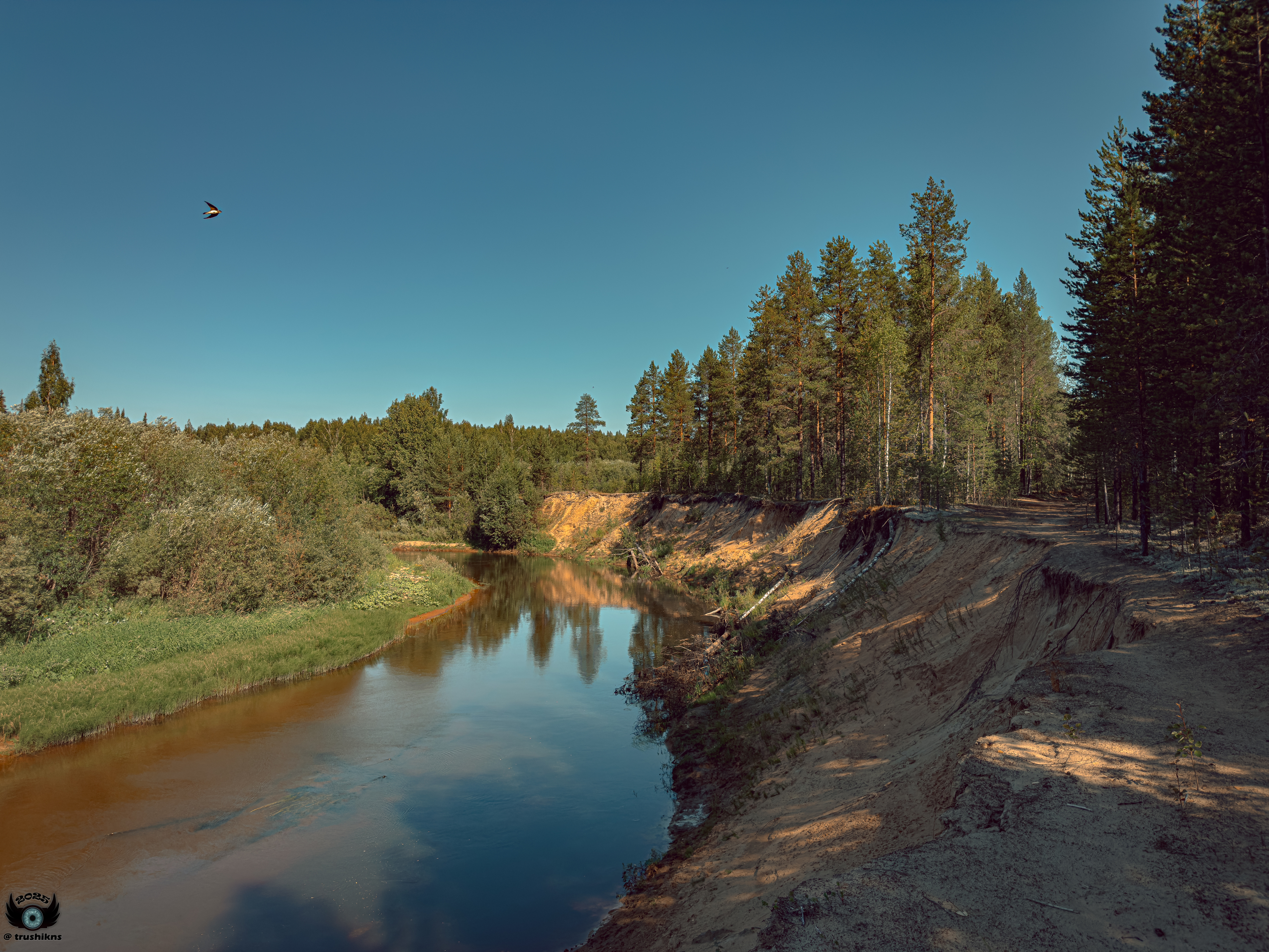 , Vladislav Trushkov