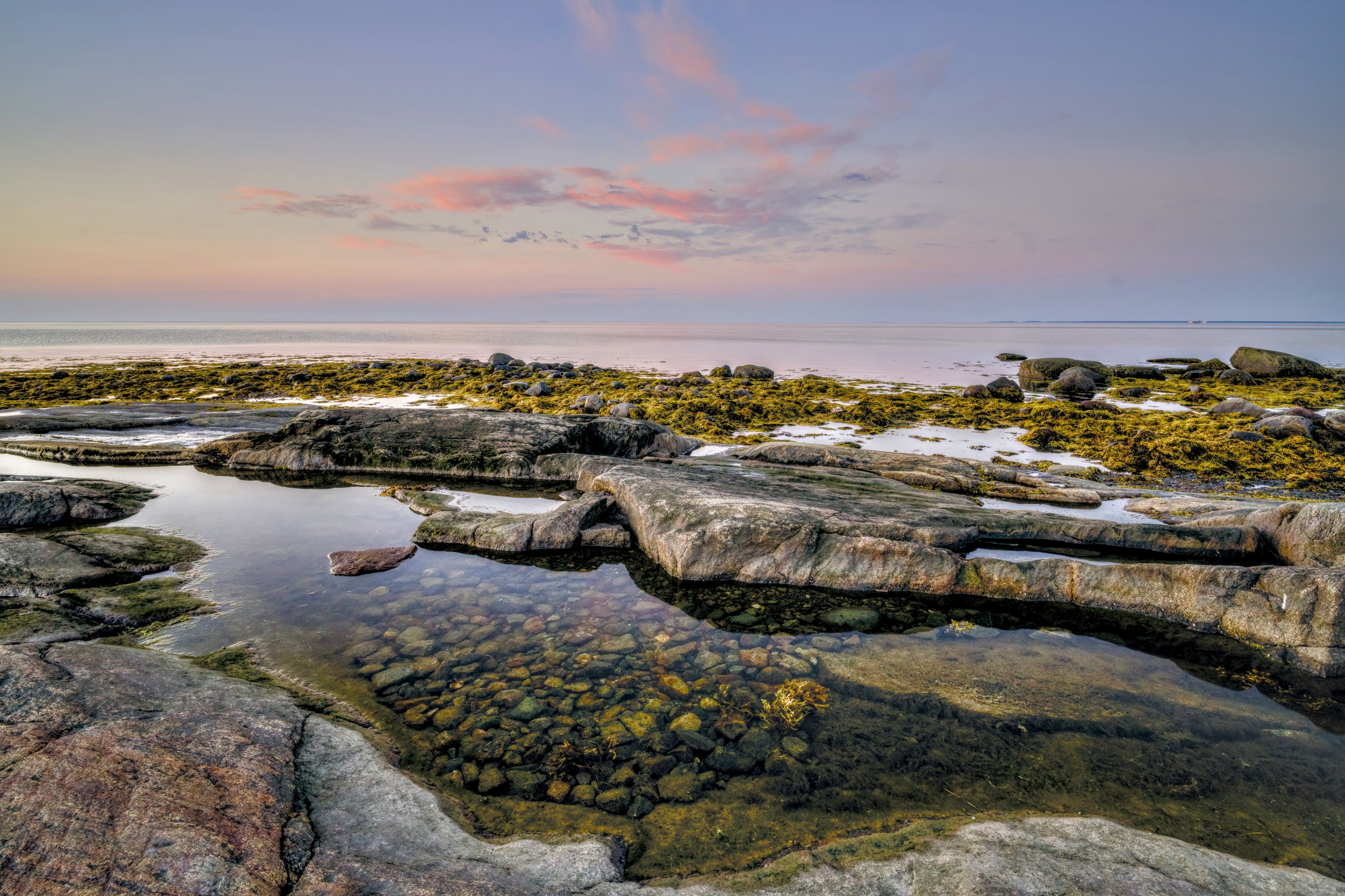 отлив водоросли утро рассвет скала камни отражение, Igor Shishpanov