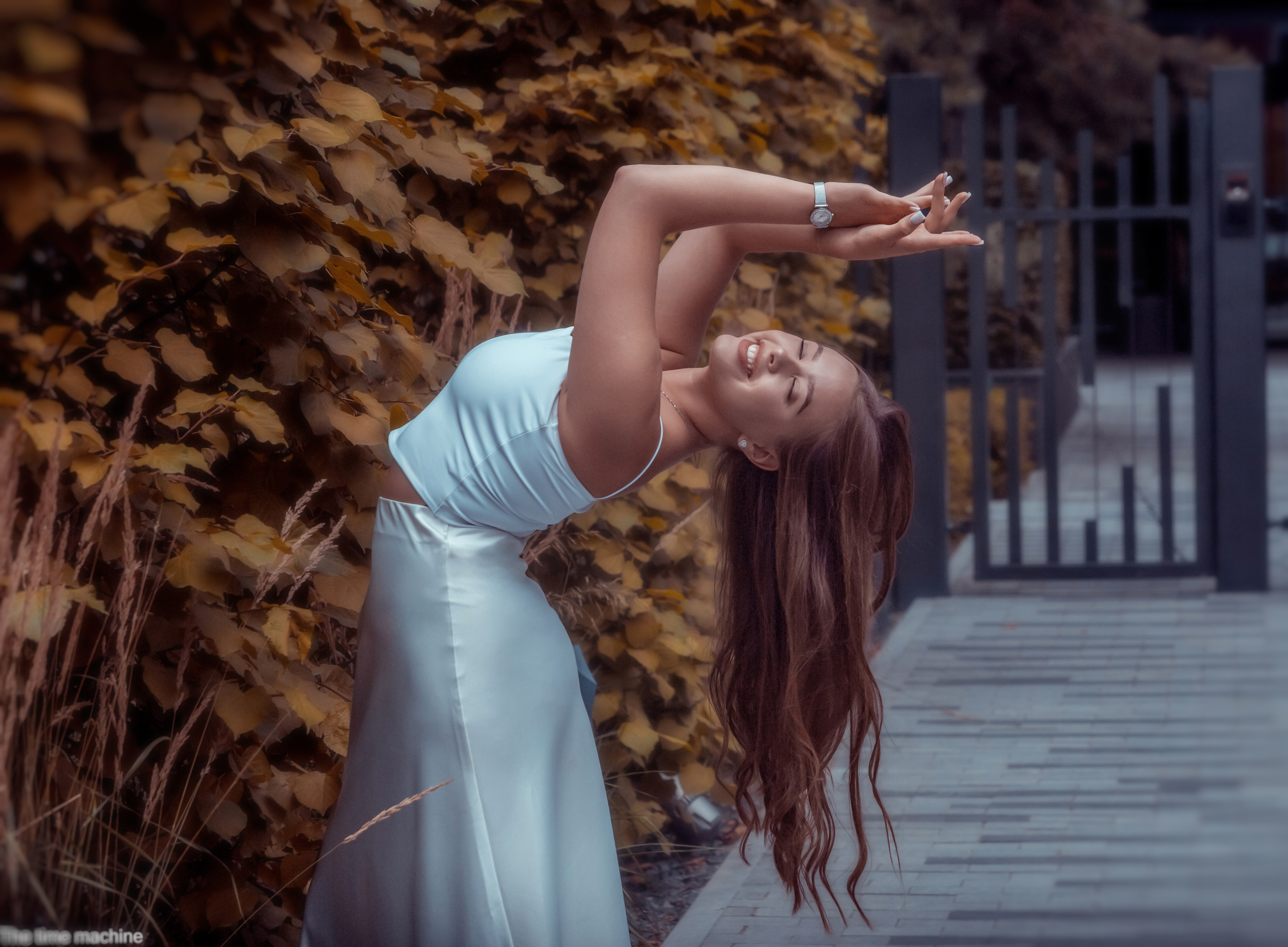 , Михаил Бове