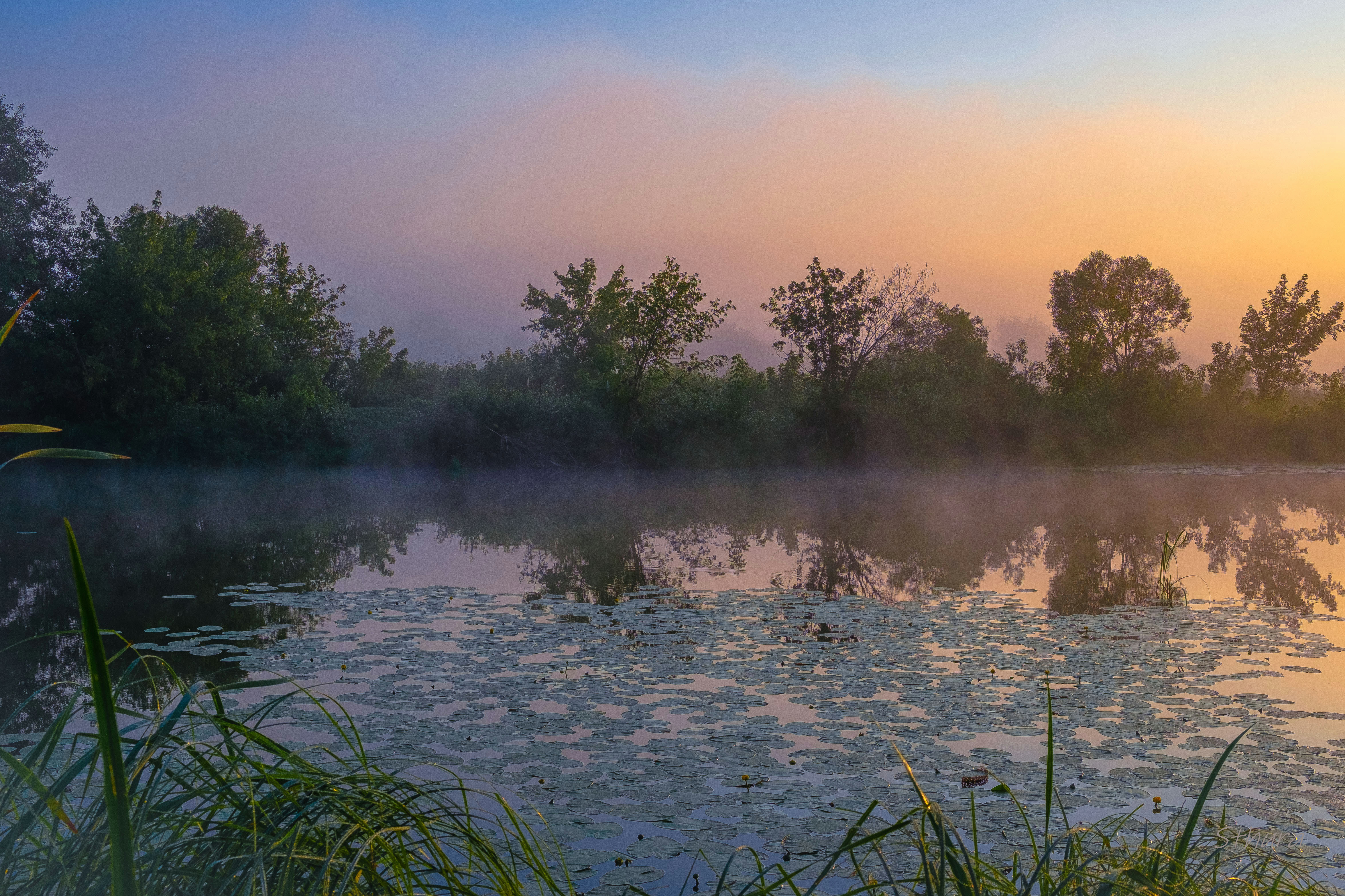 лето озеро рассвет туман природа пейзаж, Александр Строков