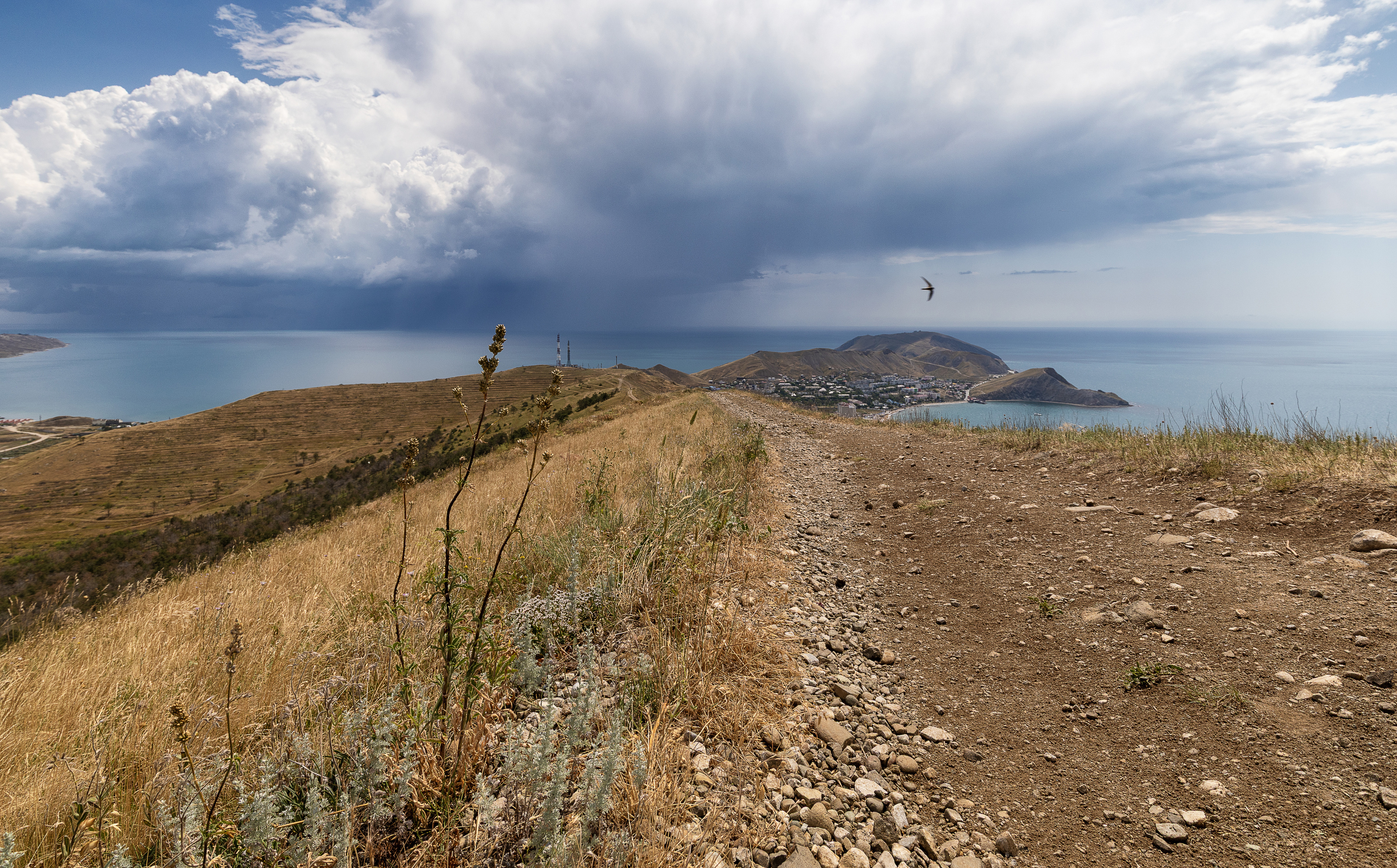 крым, море, черное, Татьяна Феденкова