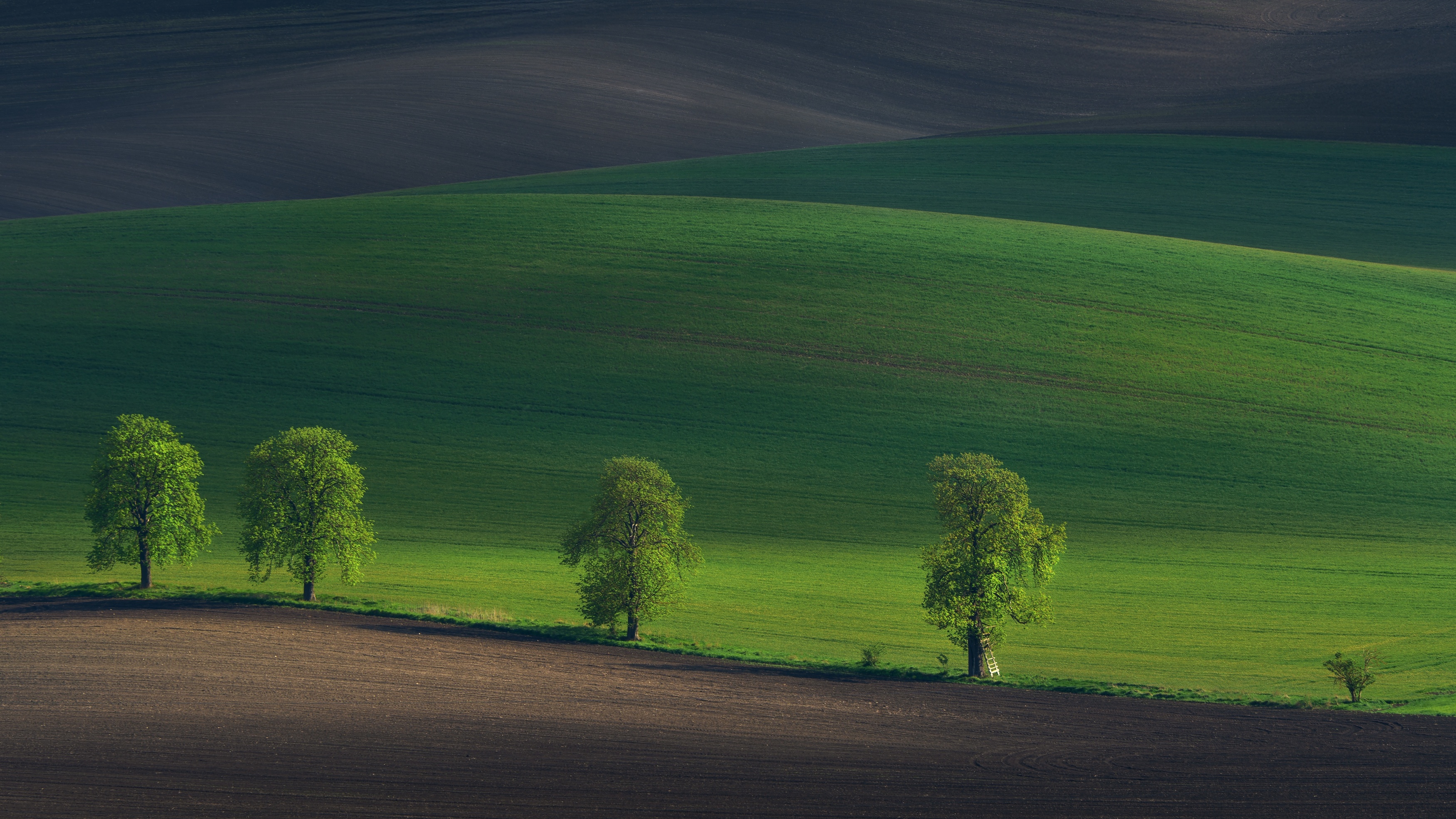 , Шимаковский Юрий