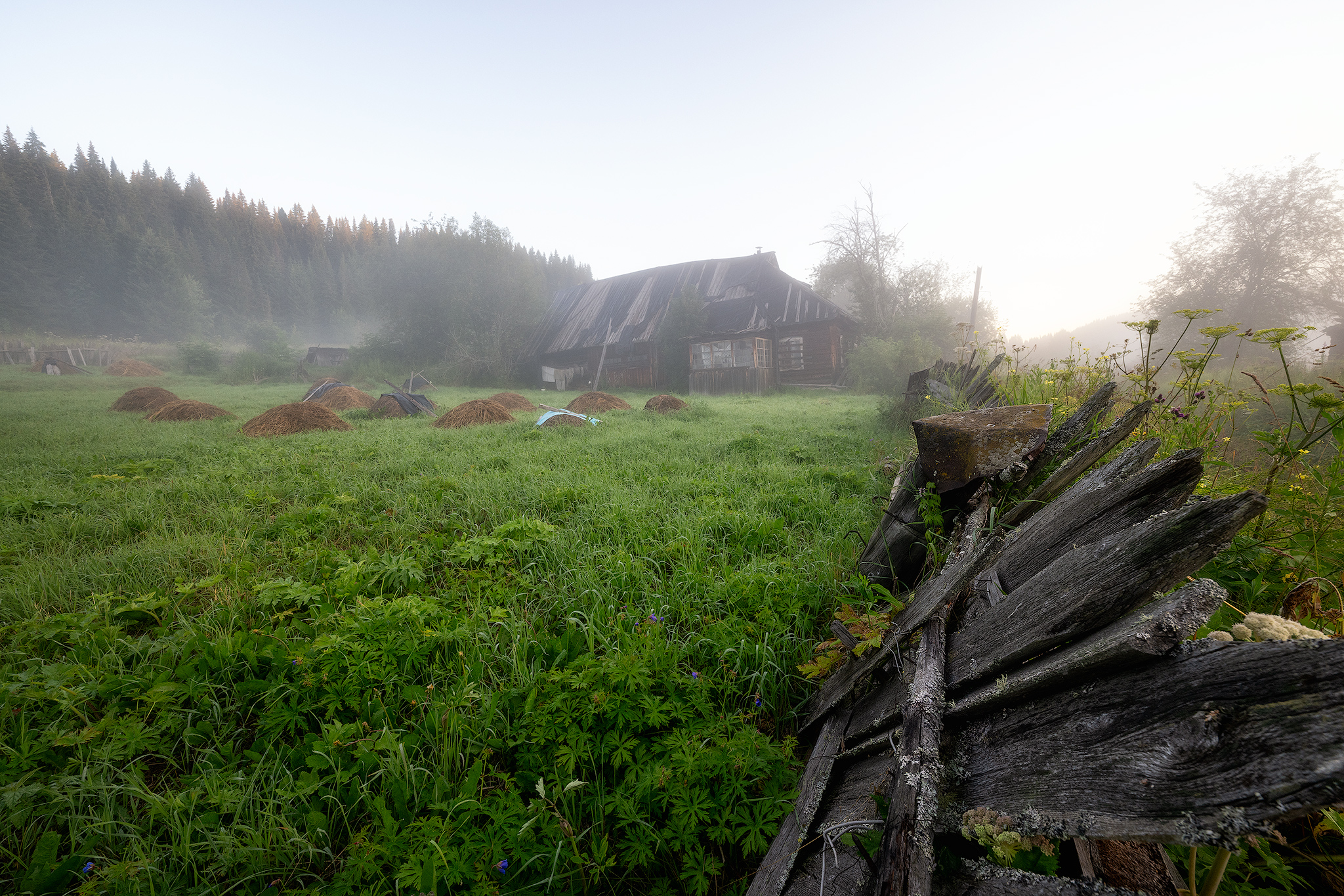 пермский край, пейзаж, рассвет, красота природы, поле, лето, река, природа, дикая природа, койва, лес, усть-койва, Кузнецов Кирилл