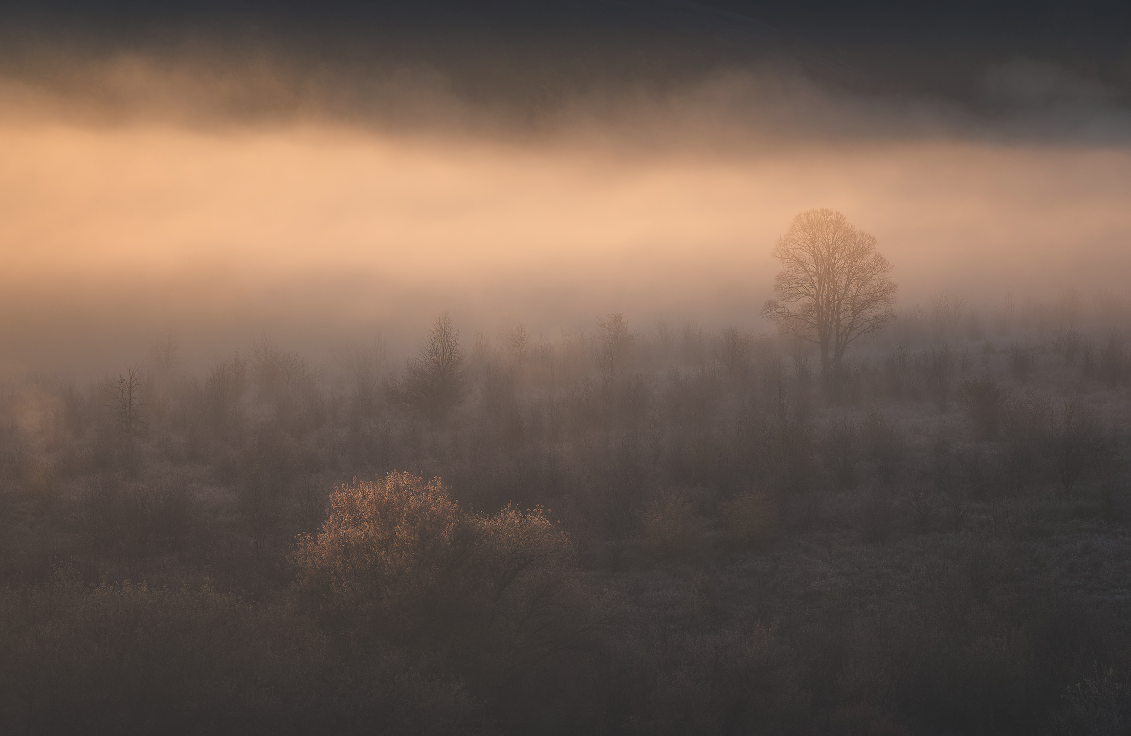 красивая меча, тульская область, Виталий Левыкин