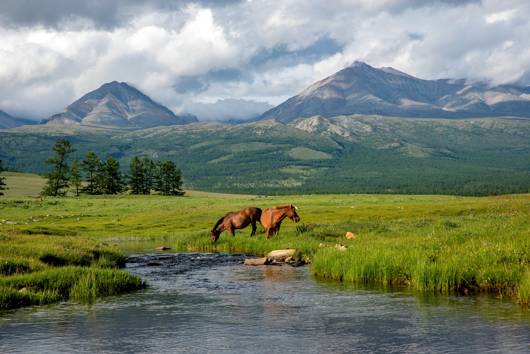 монголия, горы, лето, облака, река, лошади, Юрий Мальцев