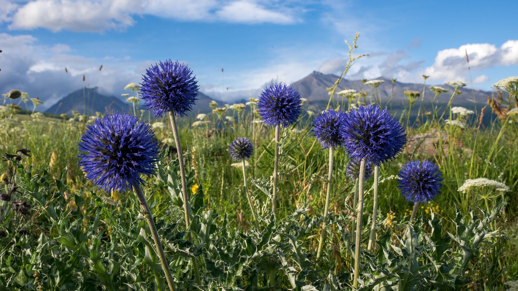 монголия, горы, лето, облака,, Юрий Мальцев