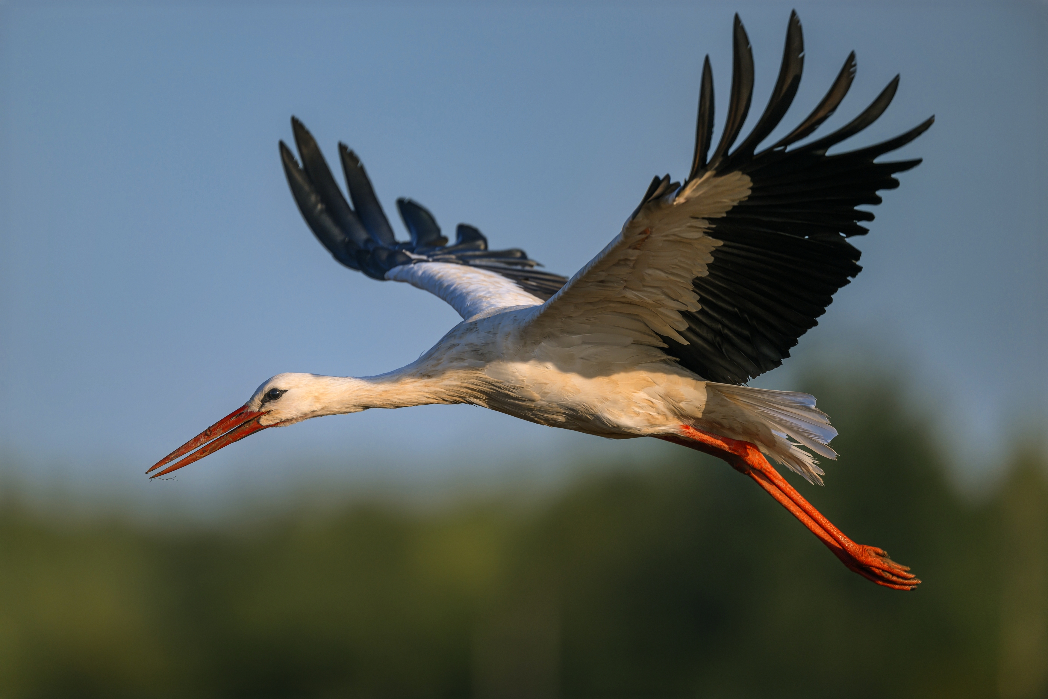 , Пупонин Сергей