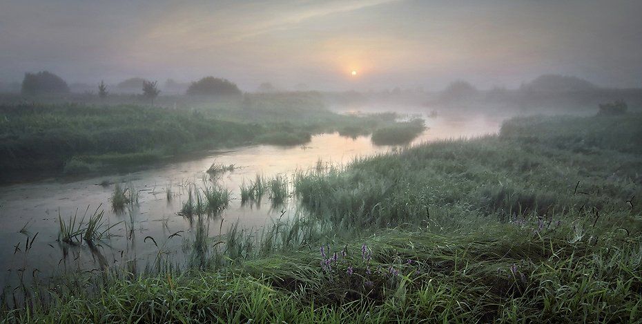 пейзаж, рассвет, туман, утро, Керженец, река, Александр Бархатов