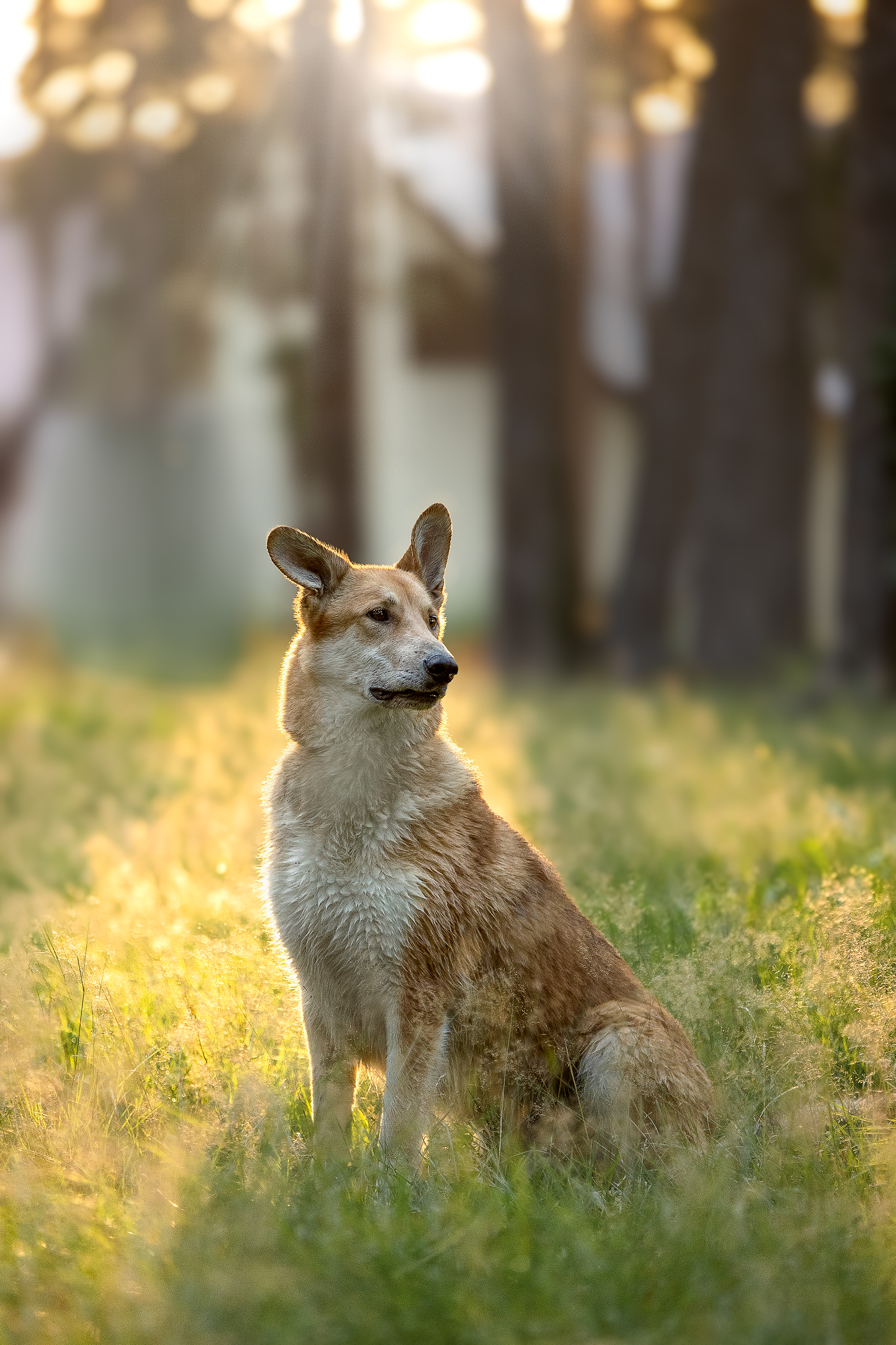 , Елена Самусенкова