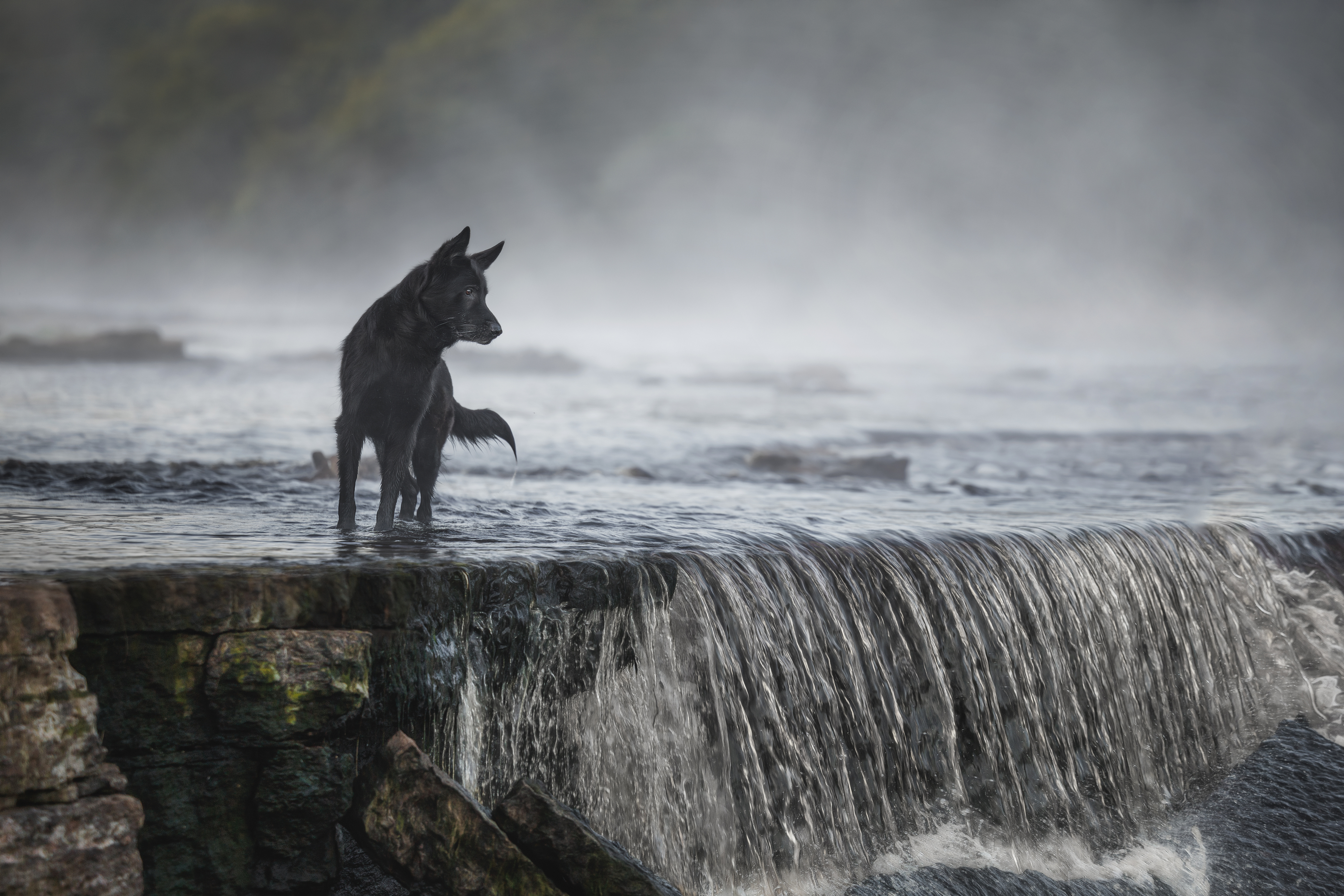 , Яна Нарбутович