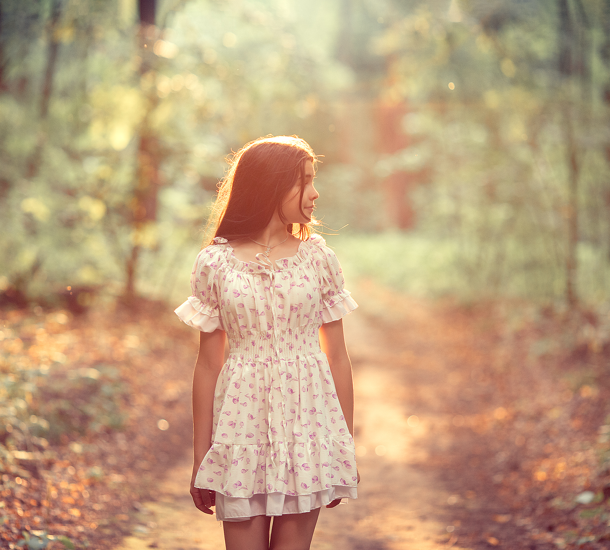 , Солнечный Александр