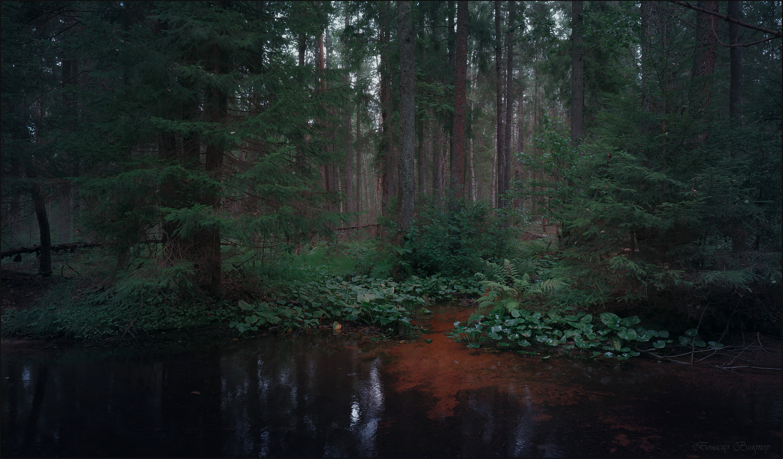 , Болеско Виктор